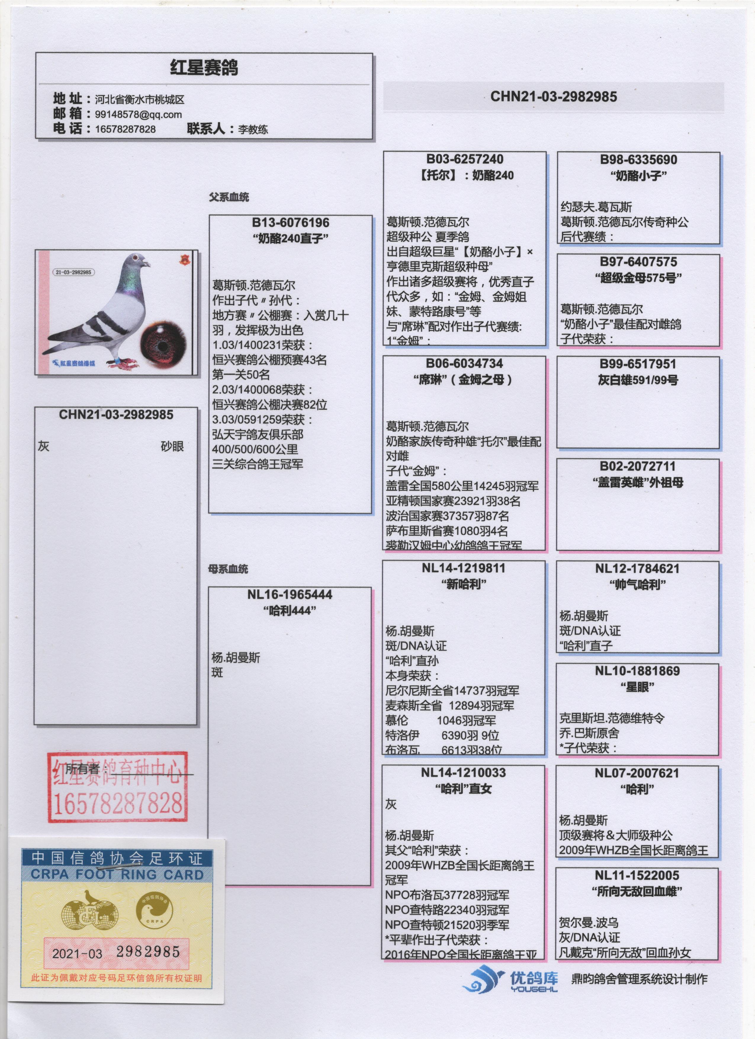 金石赛鸽育种中心展厅图片