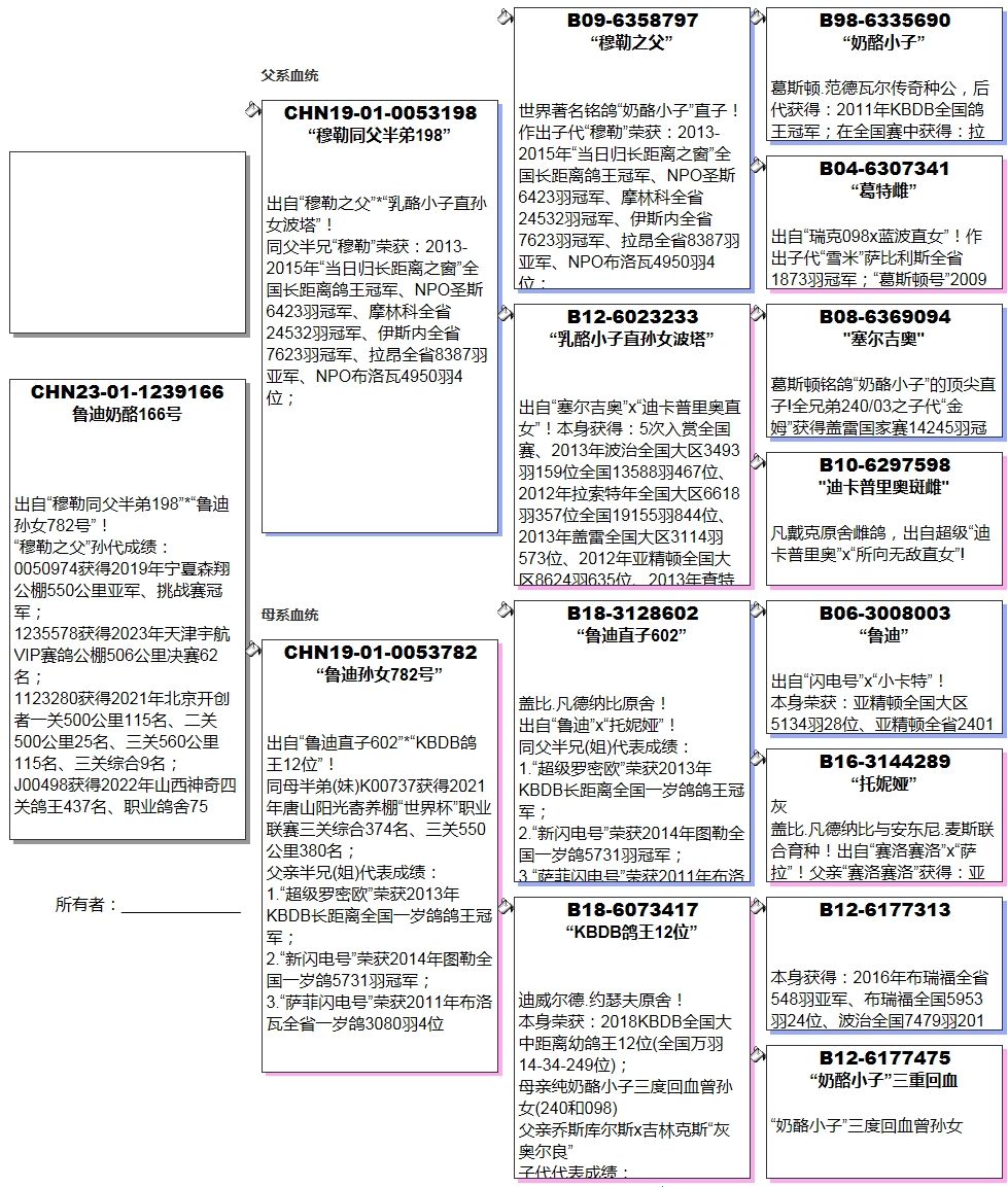 奶酪小子直子图片