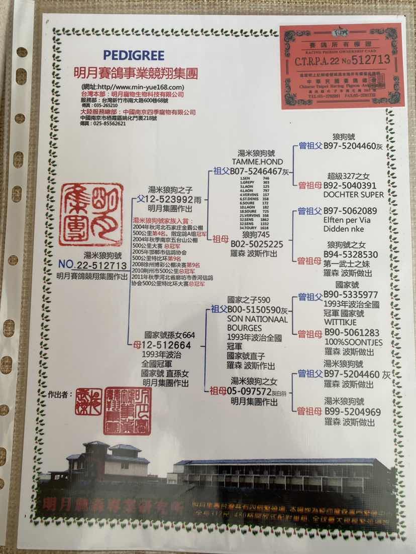 汤米狼狗号台湾明月作育