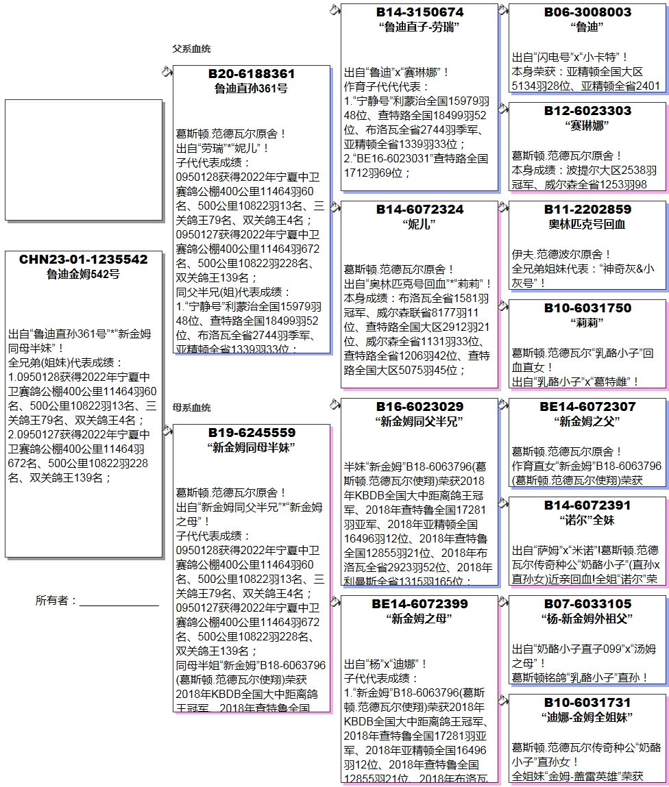 北京女老炮鸽子简介图片