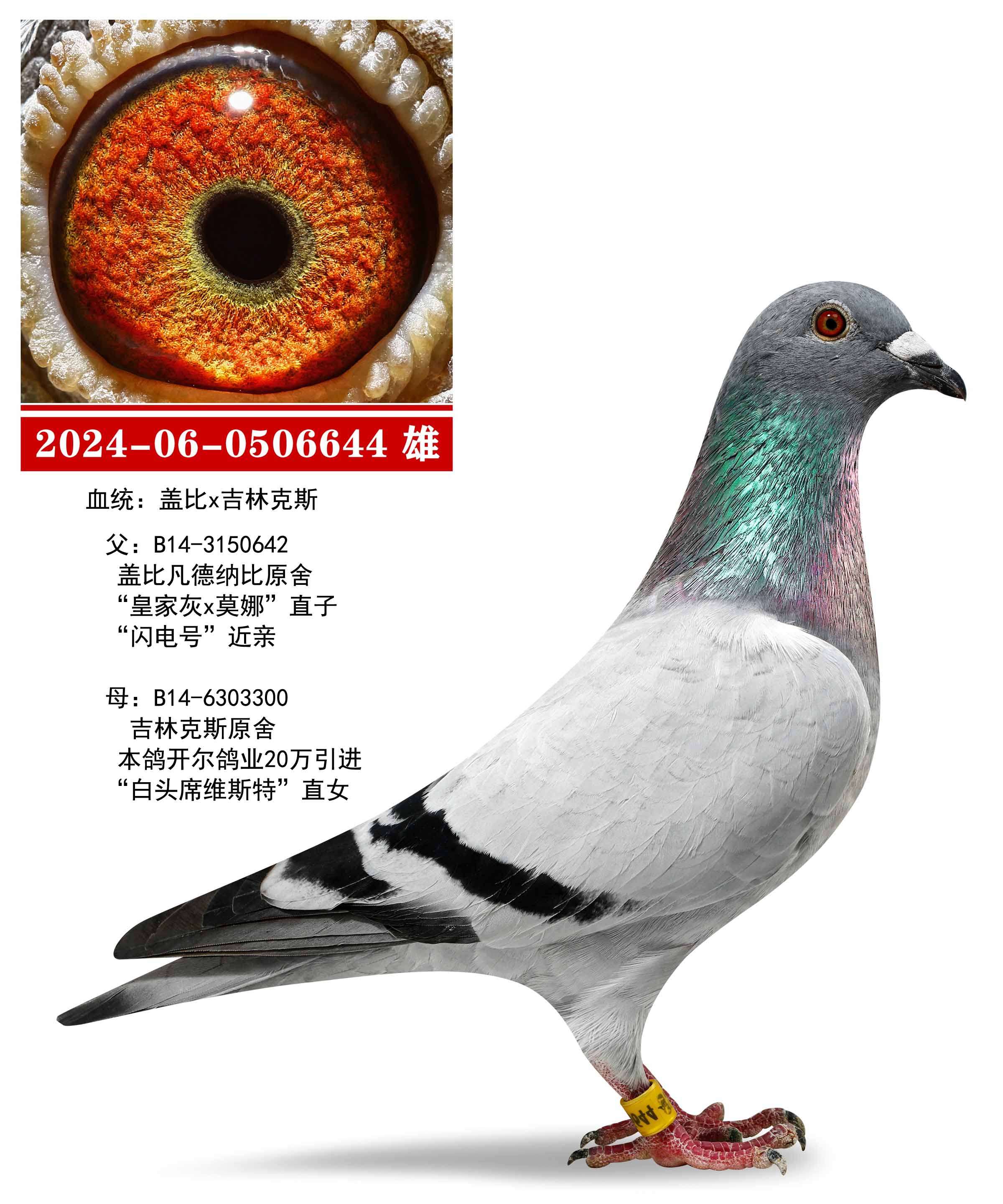 通鑫商城官网：开启电商新时代