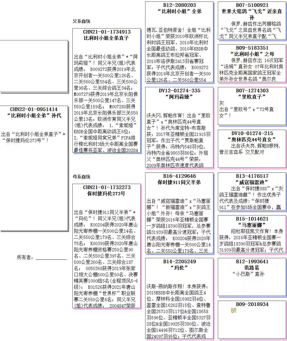 北京王瑜鸽业主血鸽图片