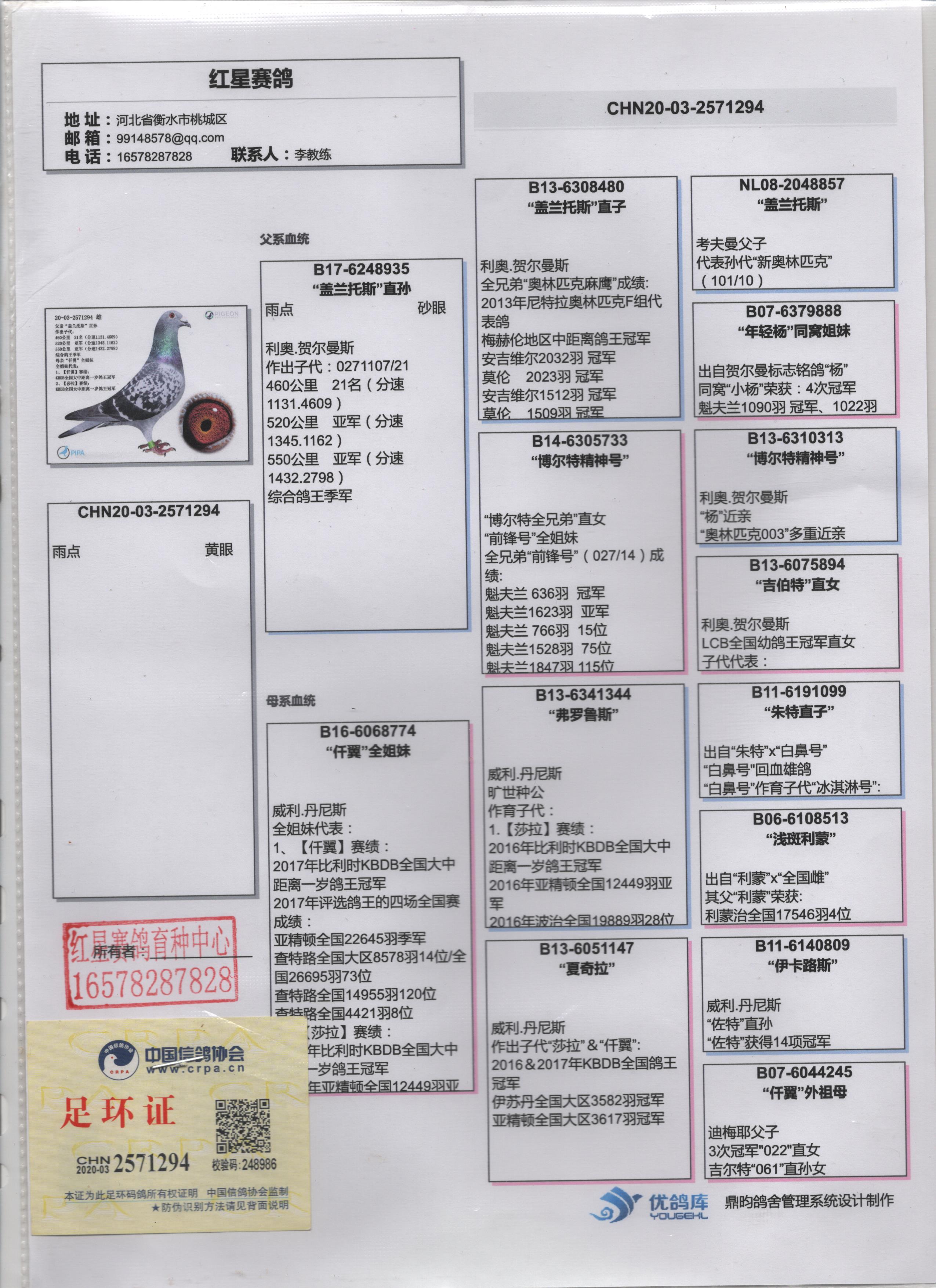 金石赛鸽育种中心展厅图片