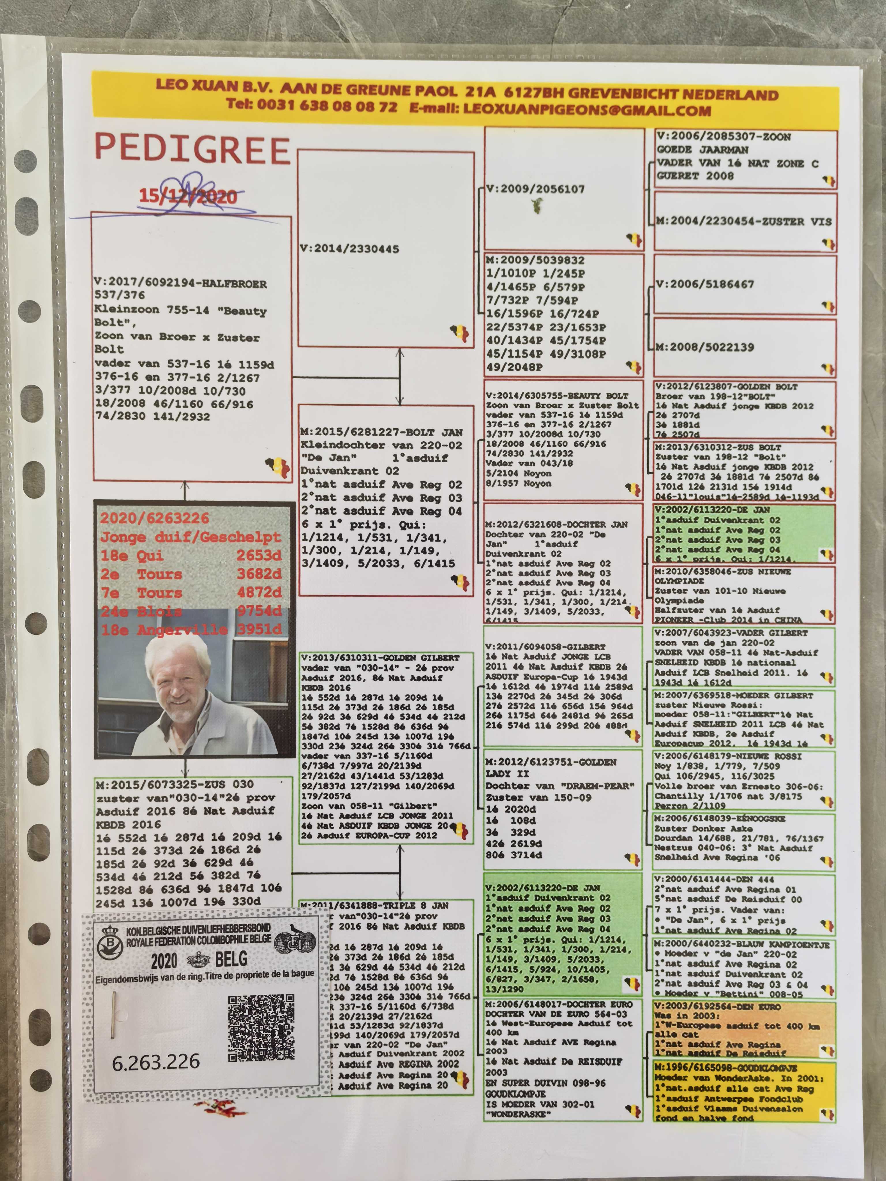 利奥赫尔曼斯小迪克回血