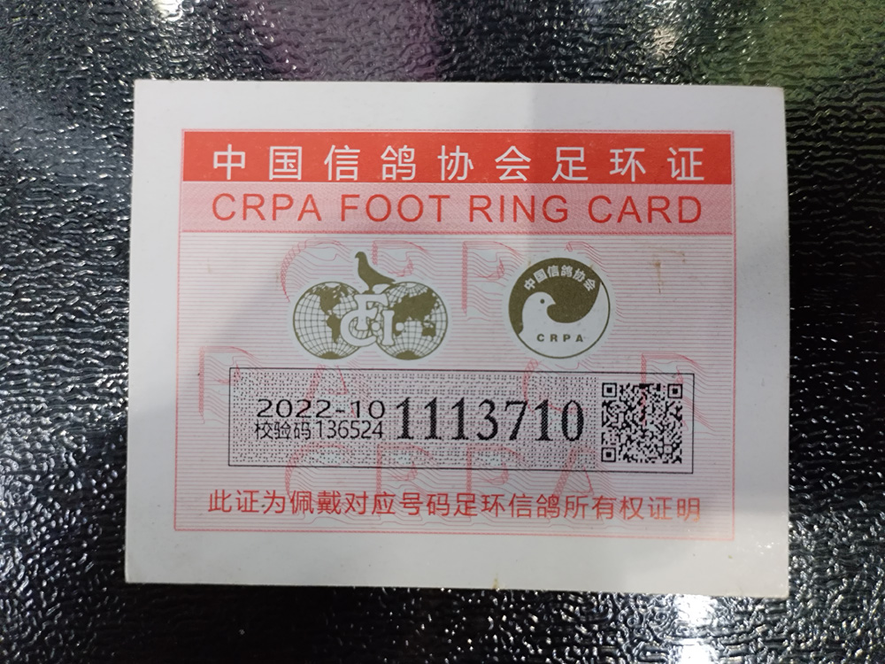 建兴摄影工作室 - 中信网铭鸽展厅