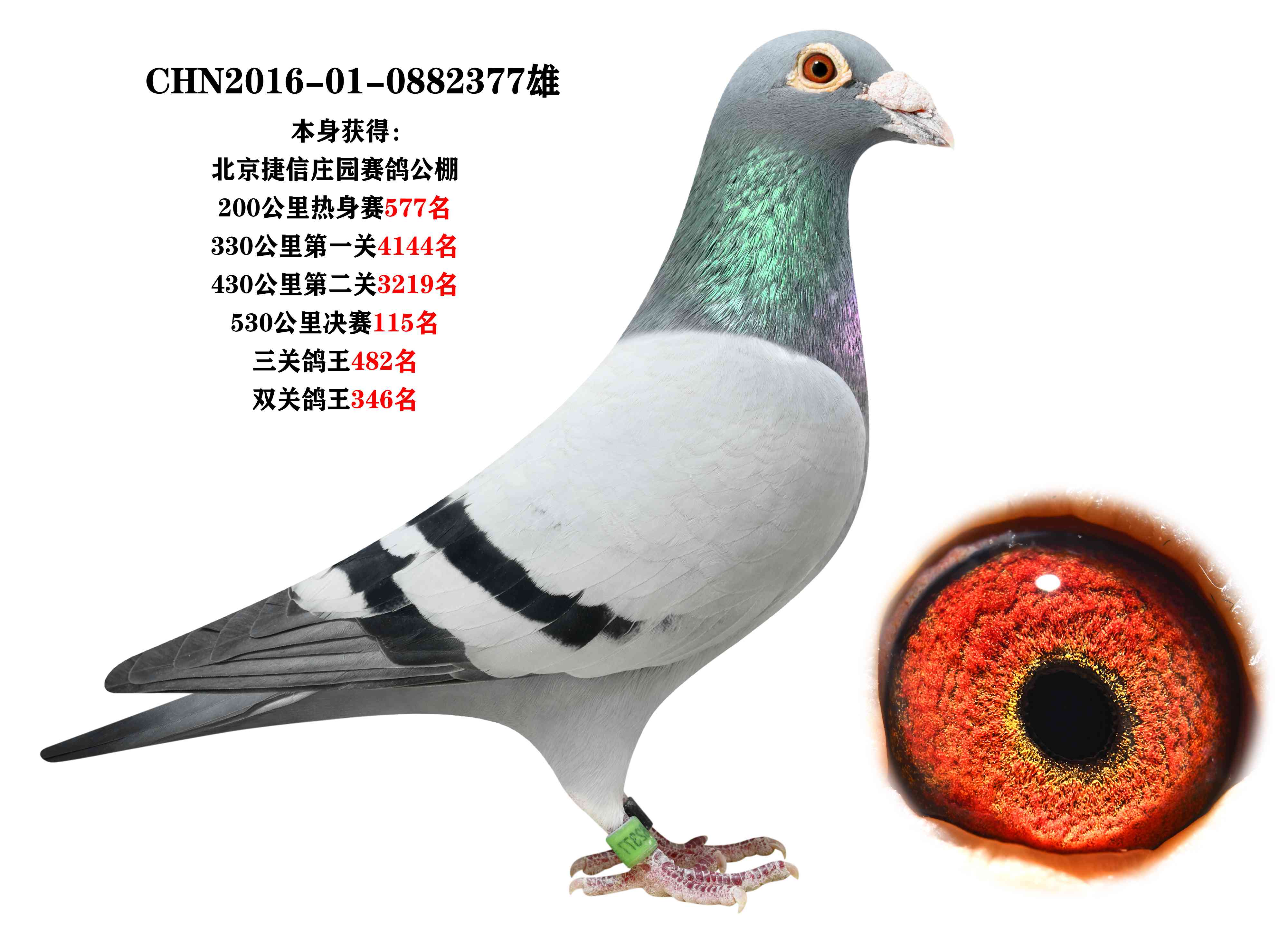 泓源国际