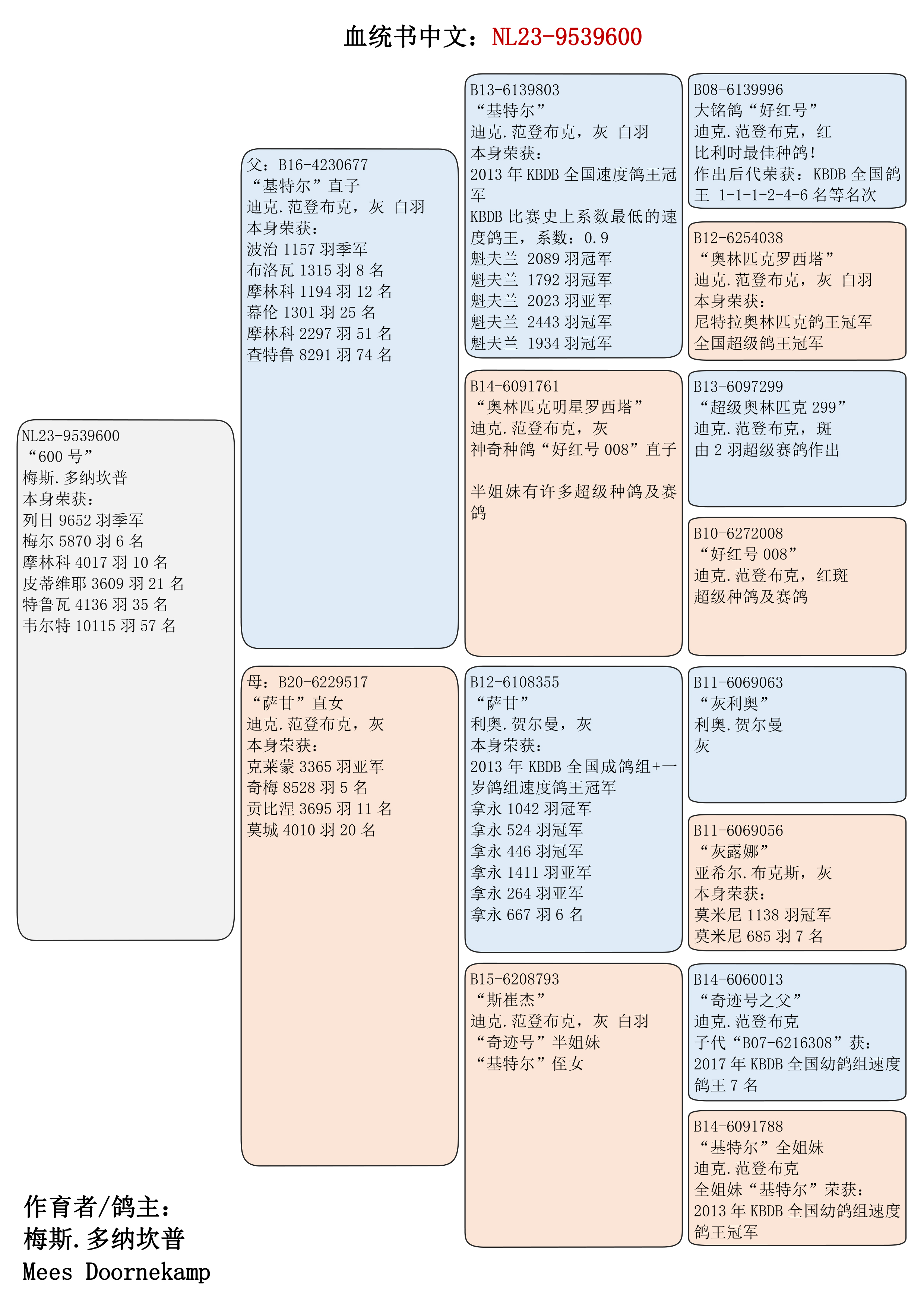 寿星鸽简介图片