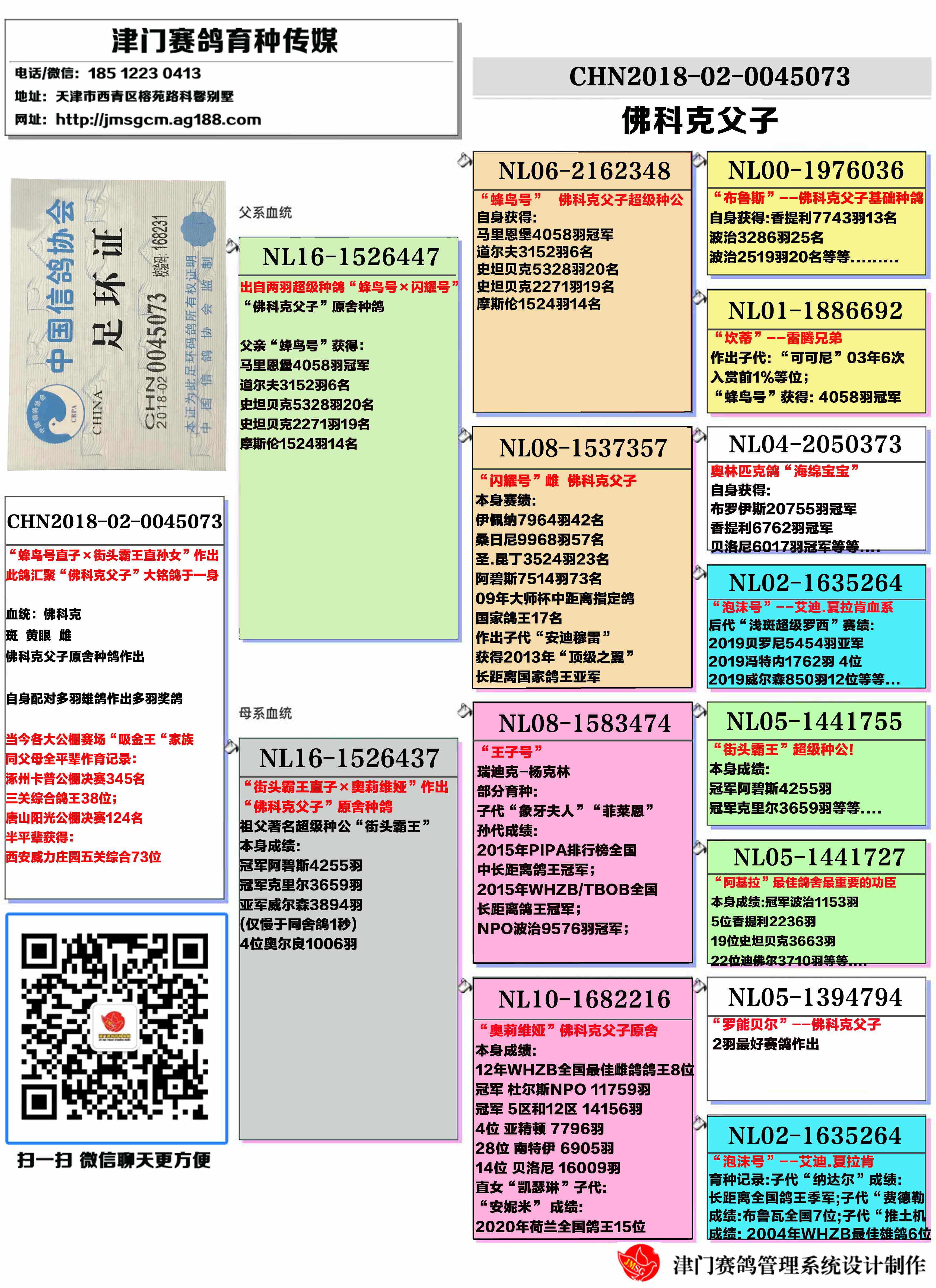 战腾雷鸽业在线拍鸽