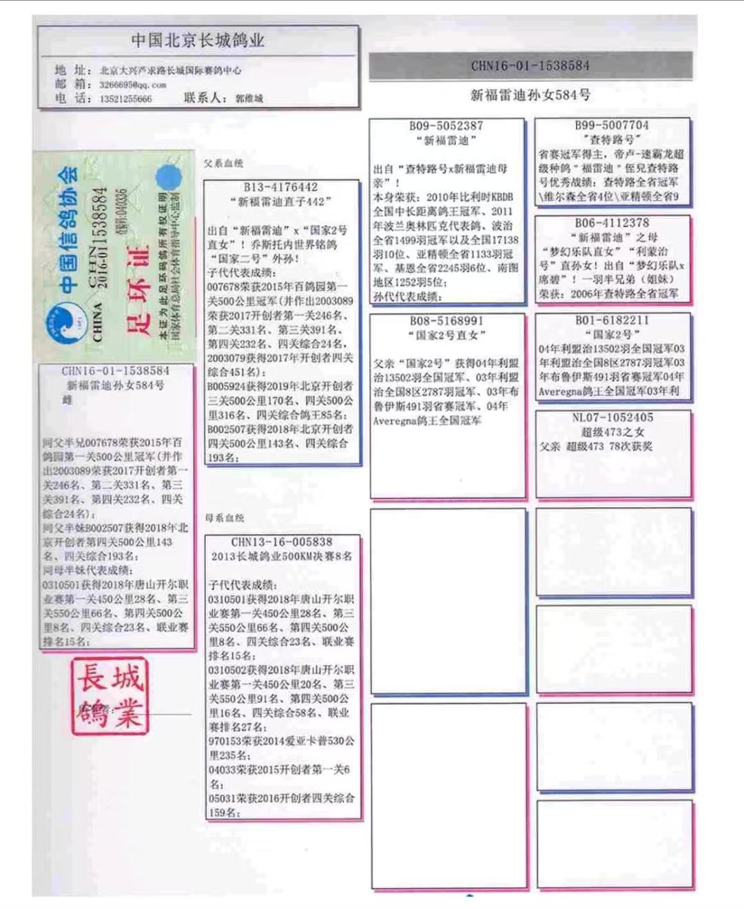 中国铭鸽展厅图片