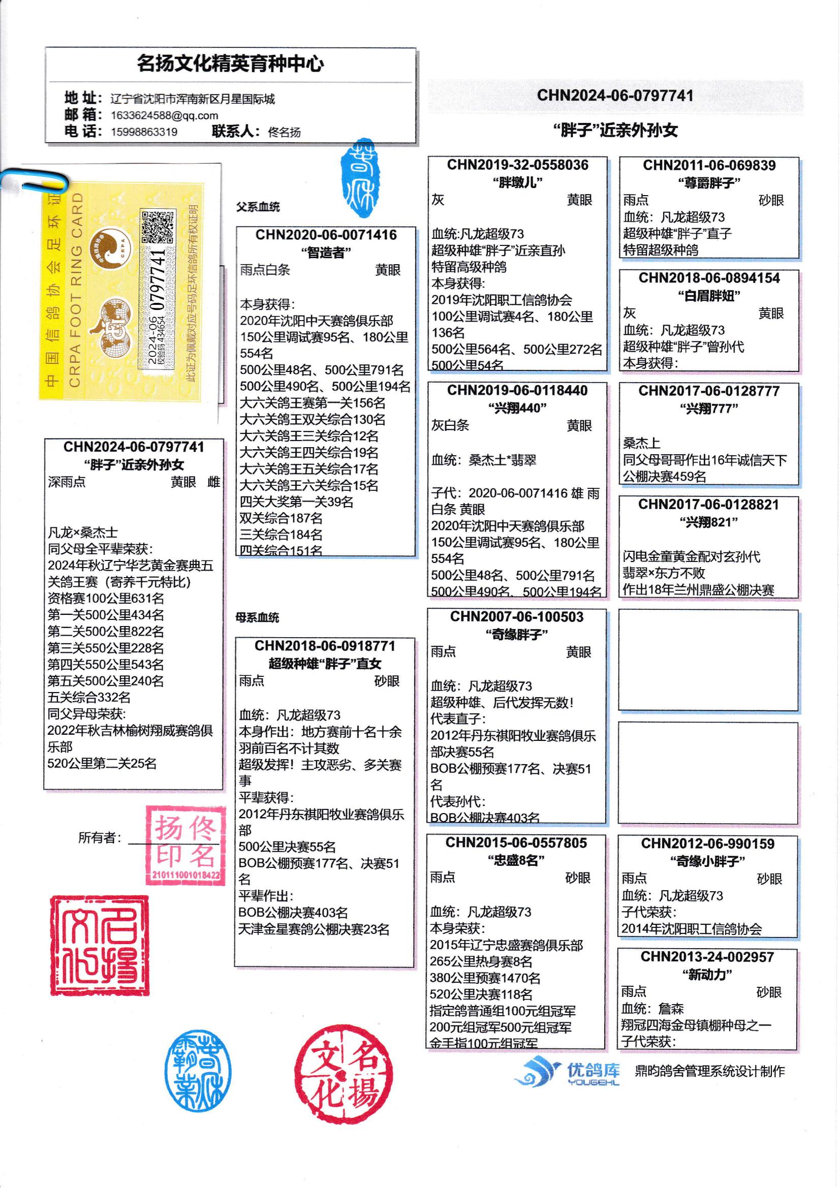 天体鸽业王群励年龄图片