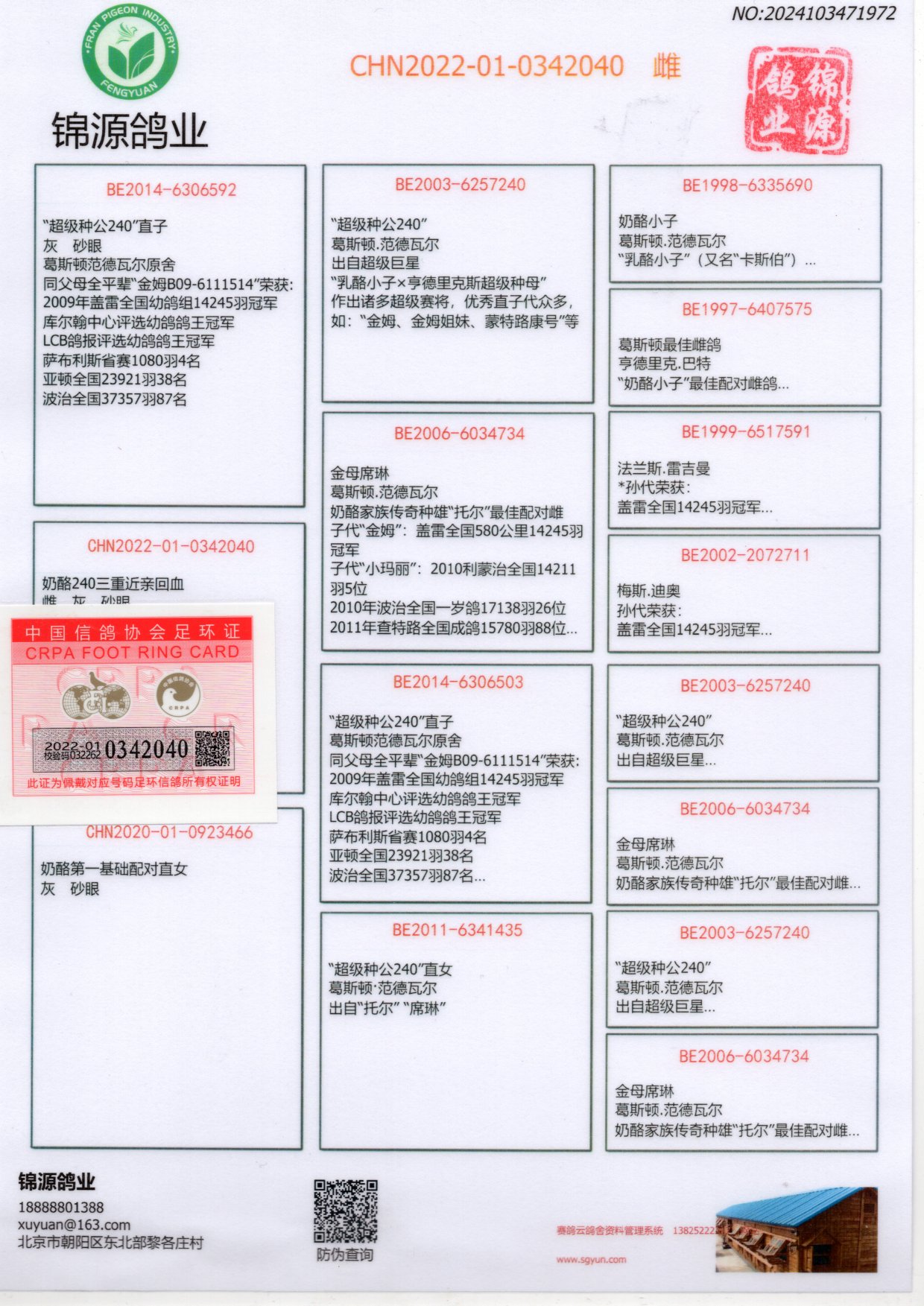 奶酪240本尊图片