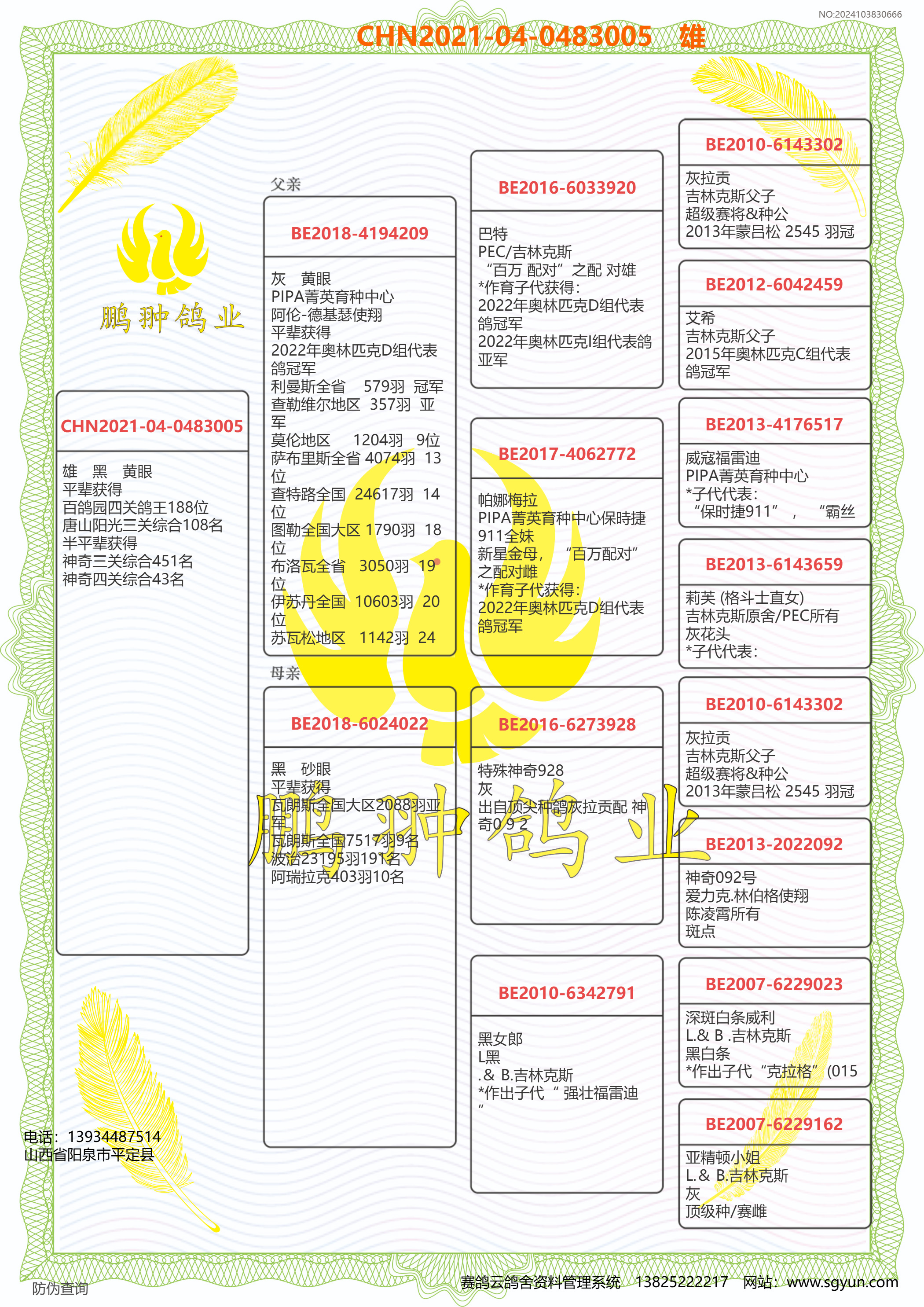 天体鸽业王群励年龄图片