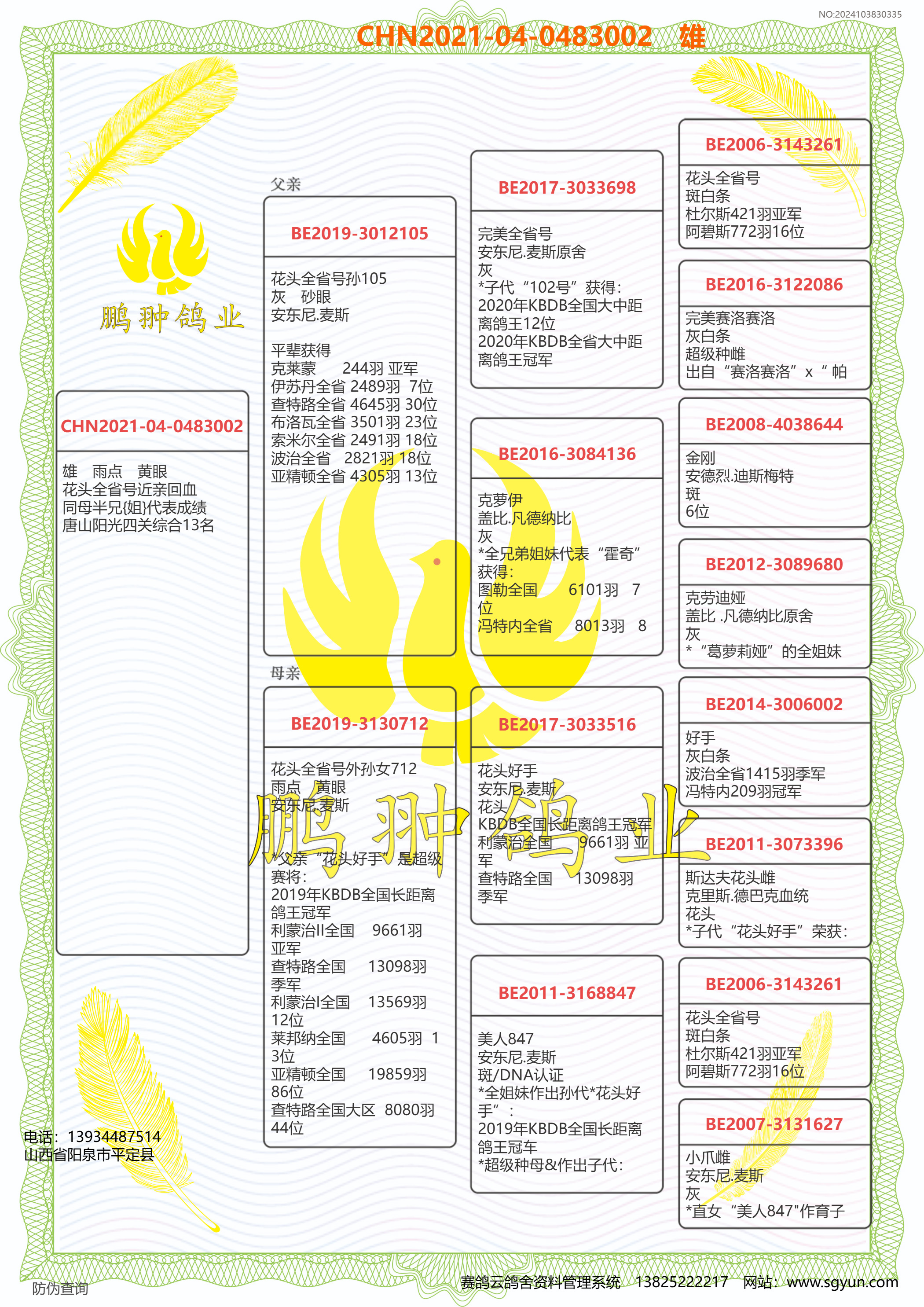 天体鸽业王群励年龄图片