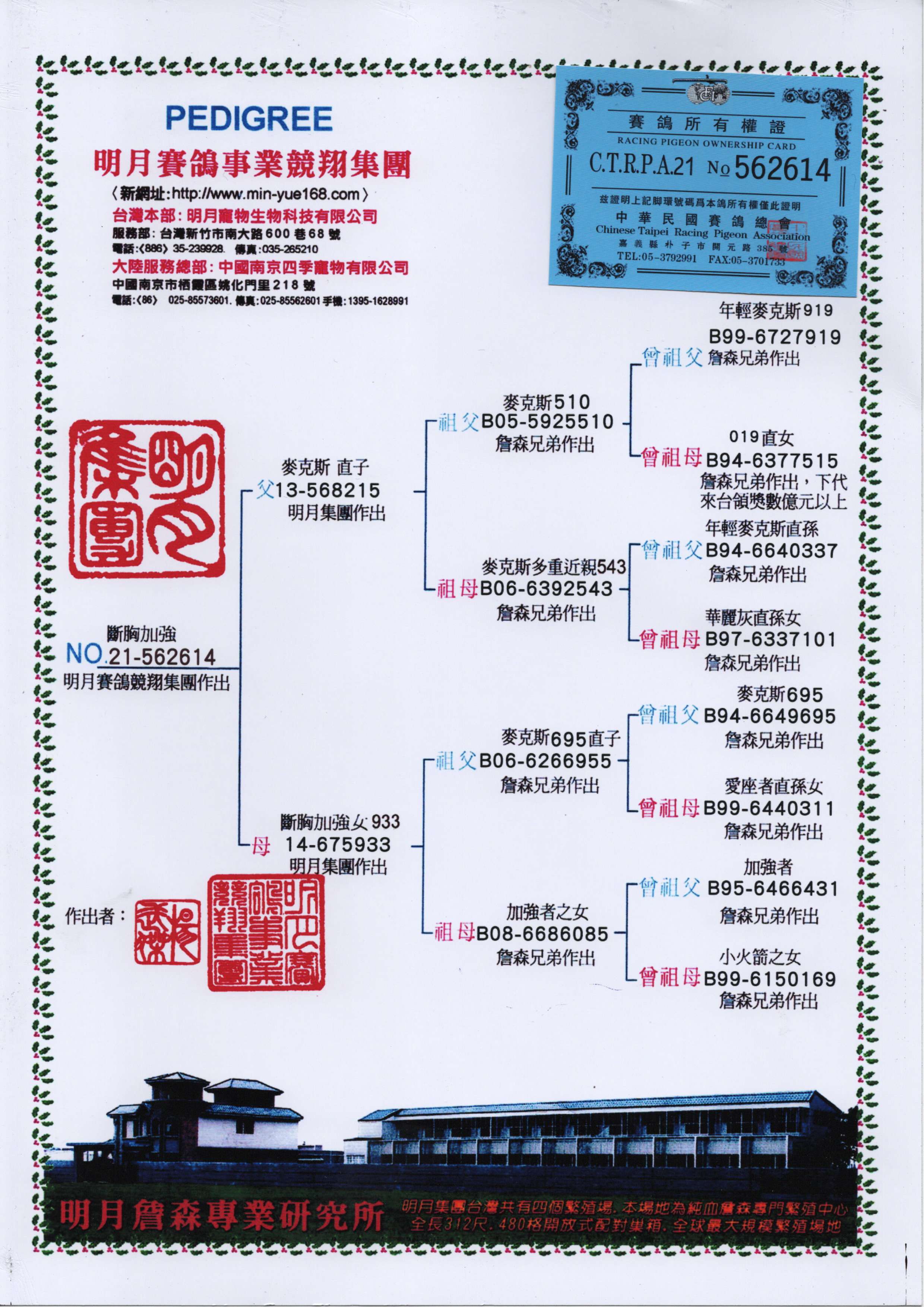 天体鸽业王群励年龄图片