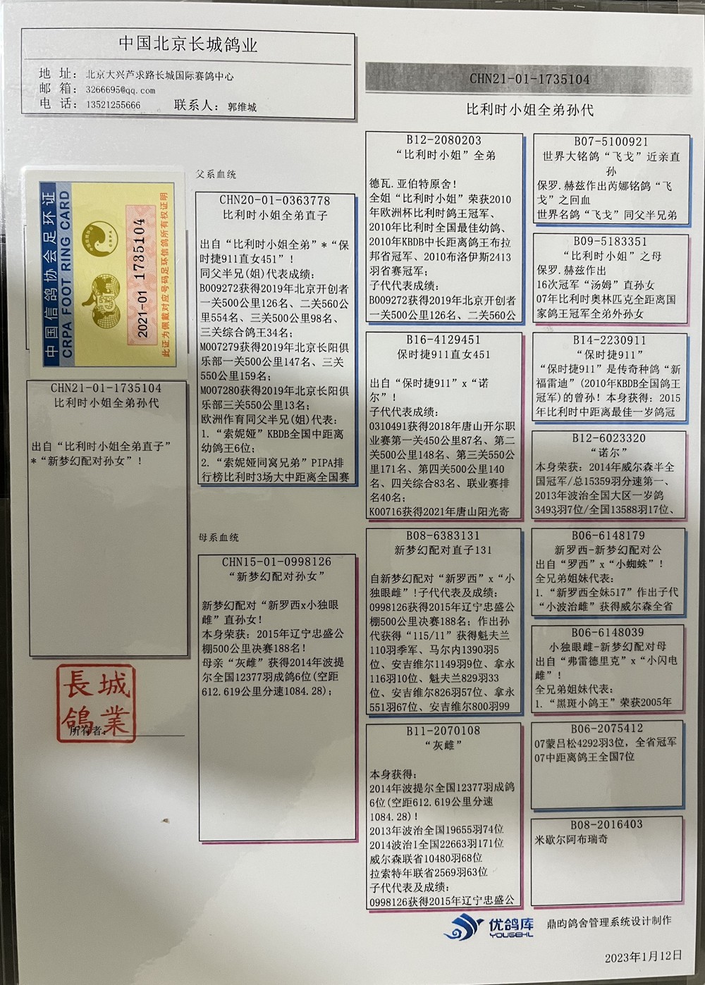 中国信鸽信息网首页图片