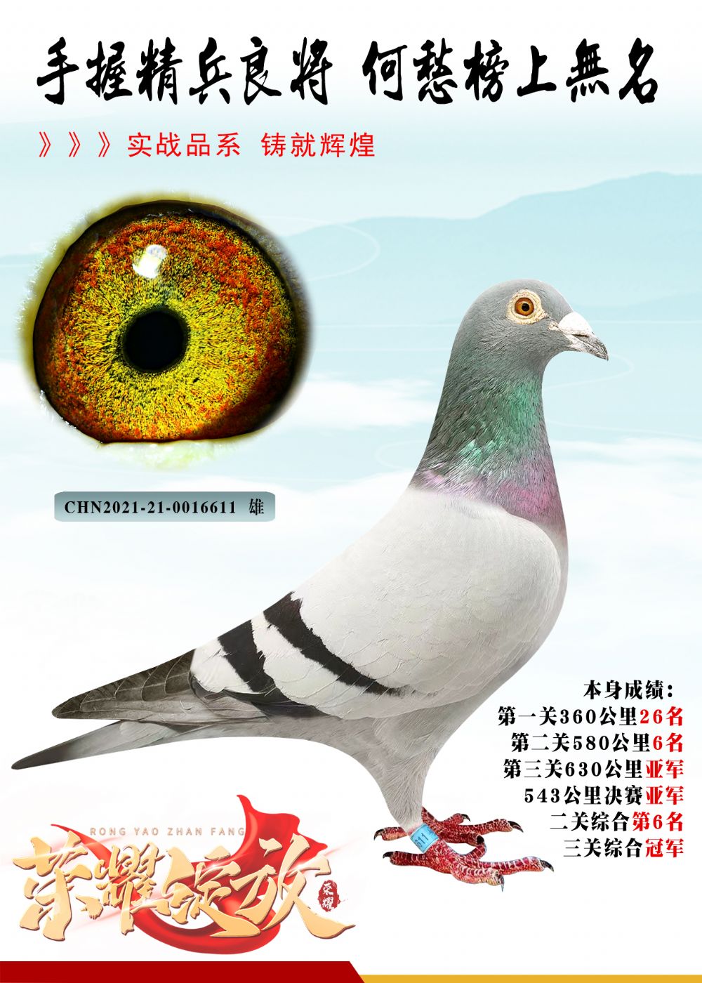 血统 杨欧瓦克 三关综合冠军