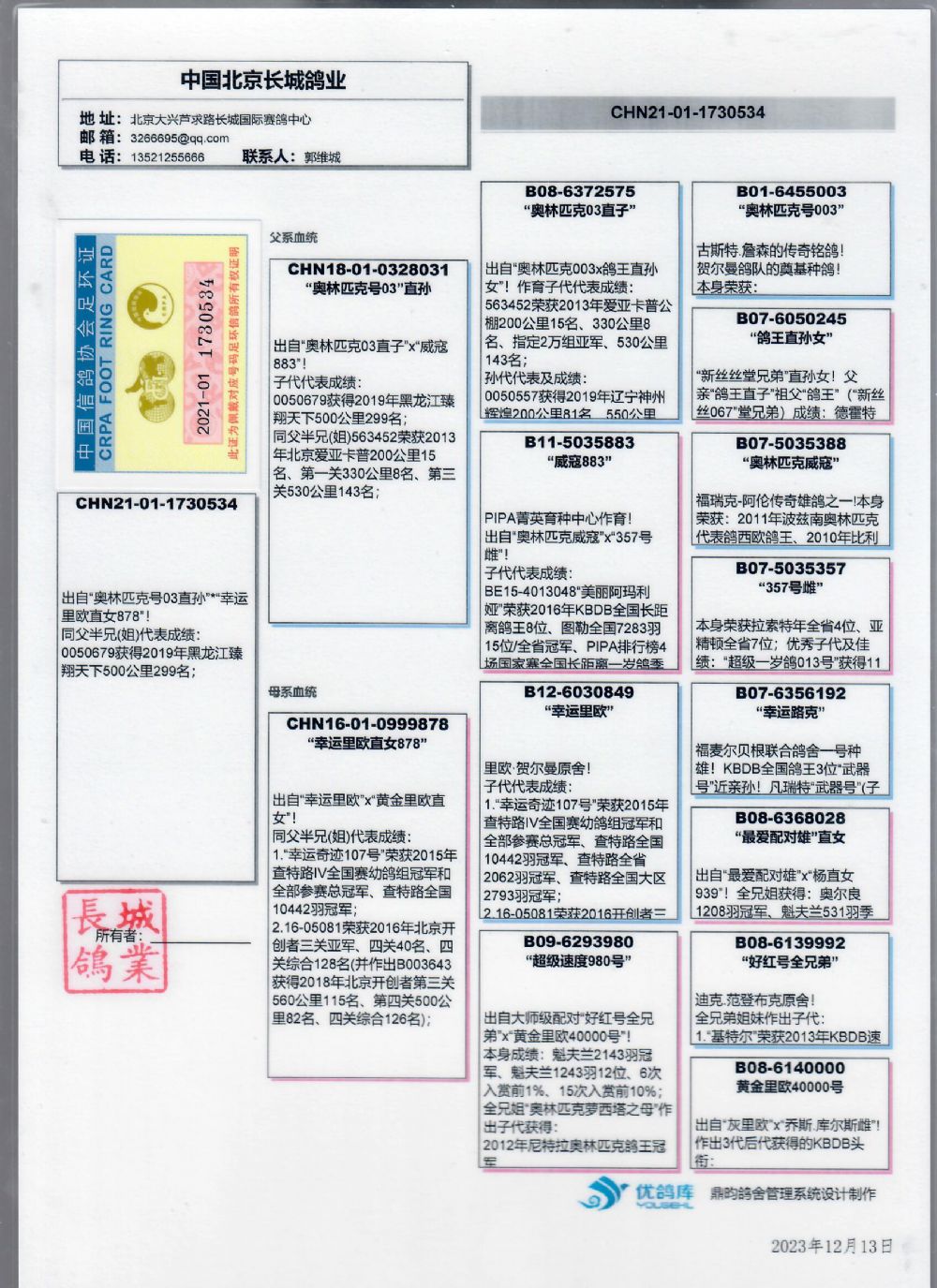 中国信鸽信息网图片