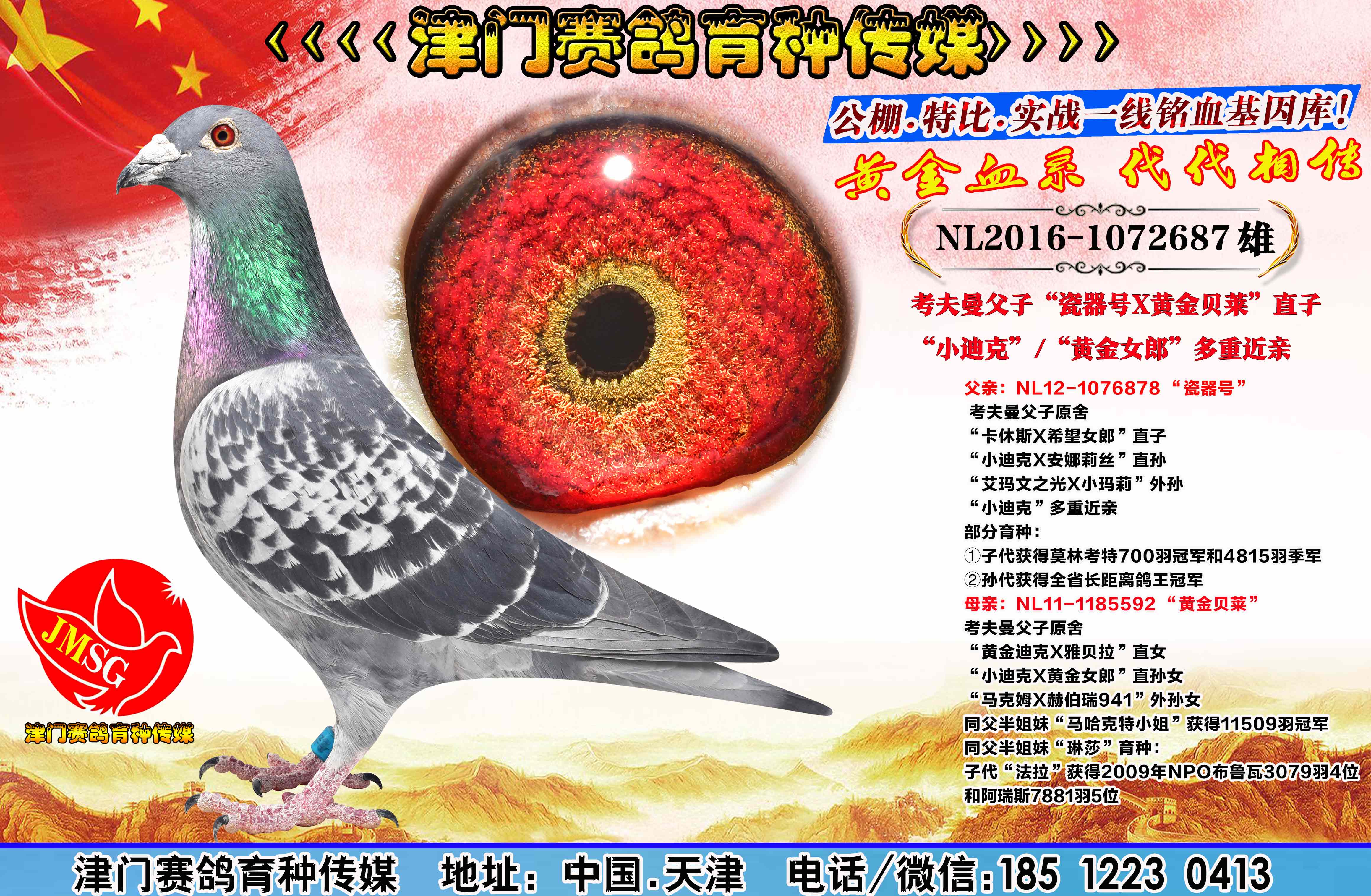 考夫曼"小迪克曾孙×魔术师外孙女"作出