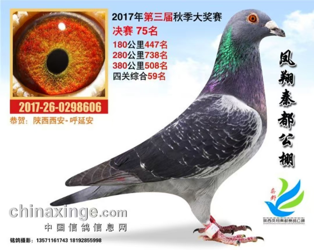 红星赛鸽育种中心 - 中信网铭鸽展厅