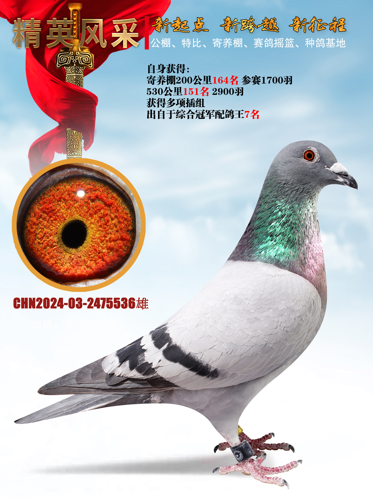 15万直子冠军直子