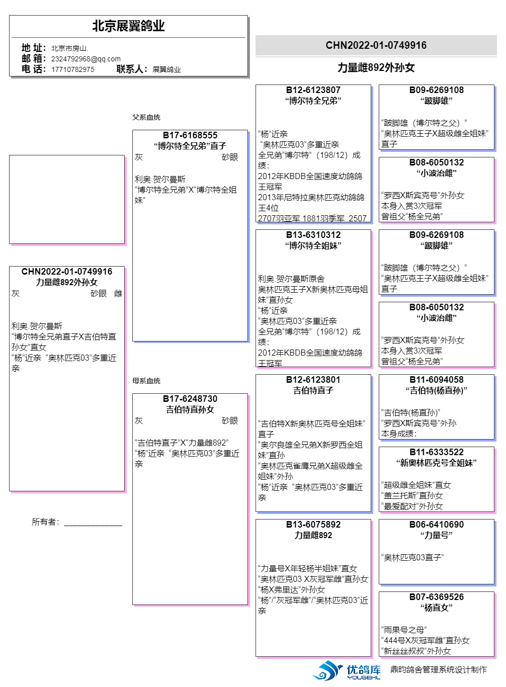 利奥力量雌外孙女 9916