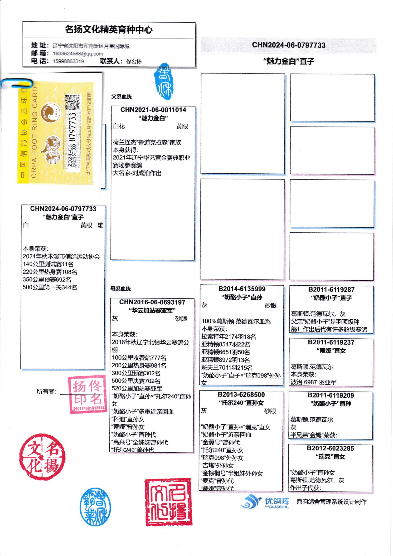 名扬文化精英育种中心 - 中信网铭鸽展厅