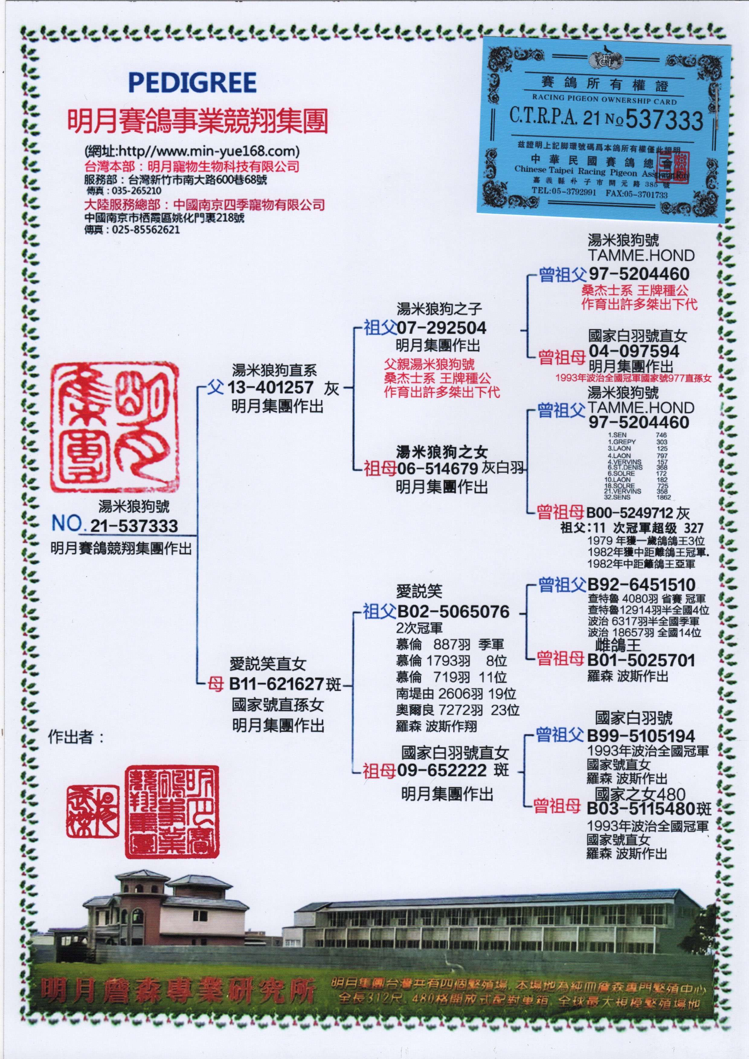 天体鸽业王群励年龄图片