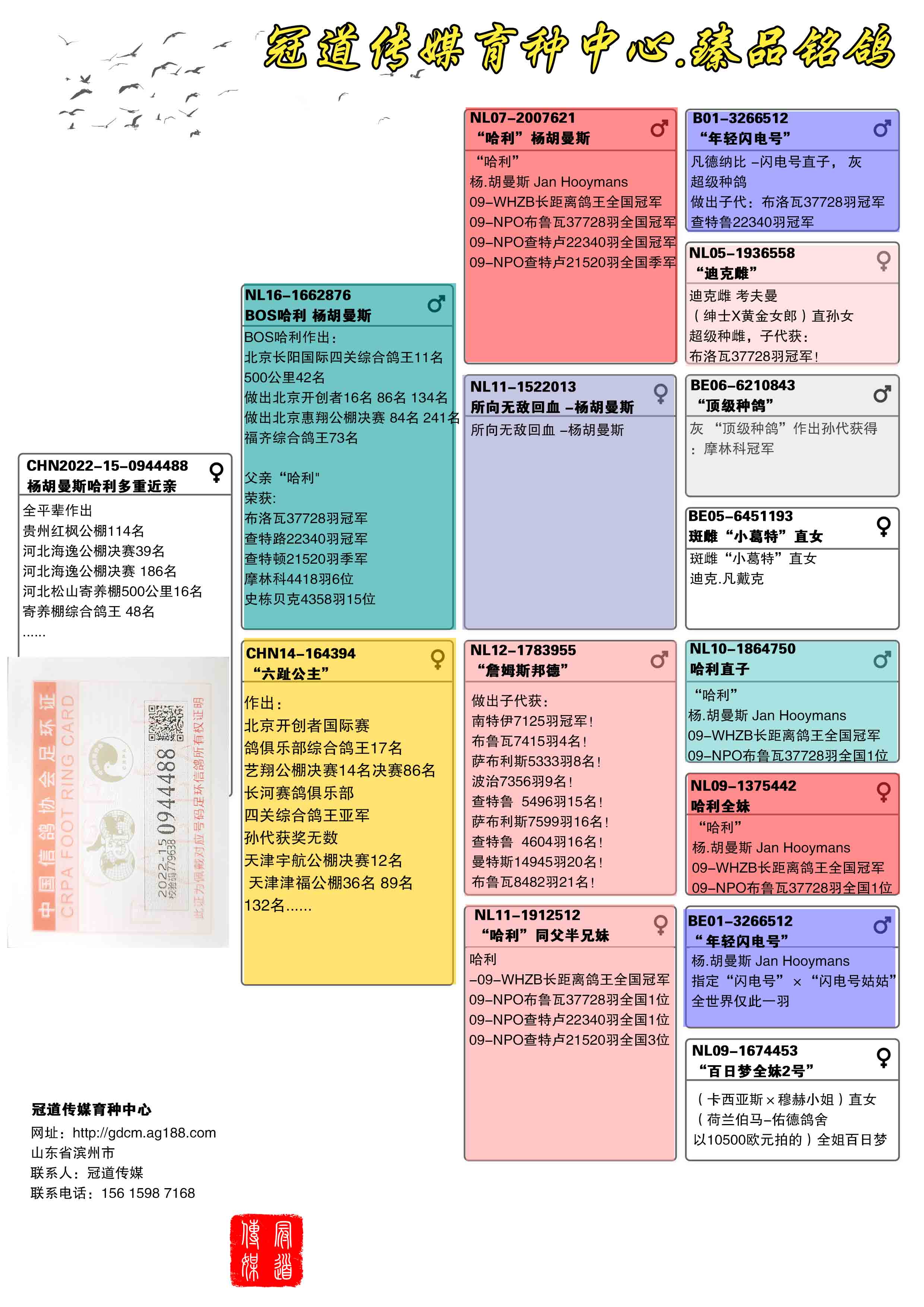 信鸽在线拍卖平台