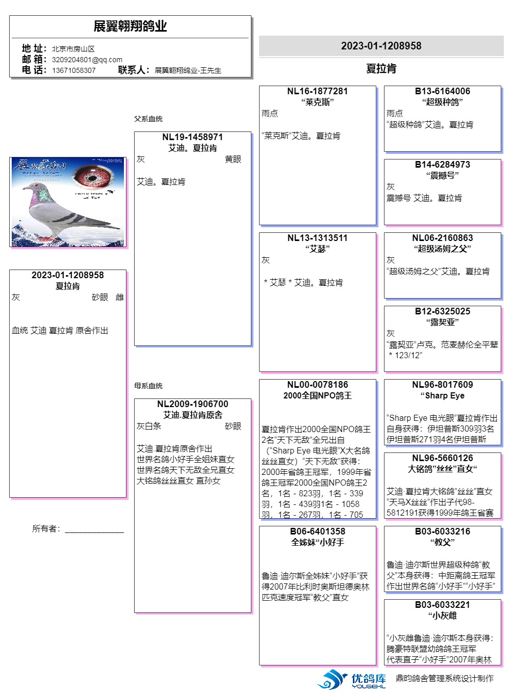 夏拉肯2000年全国npo鸽王亚军直女作出