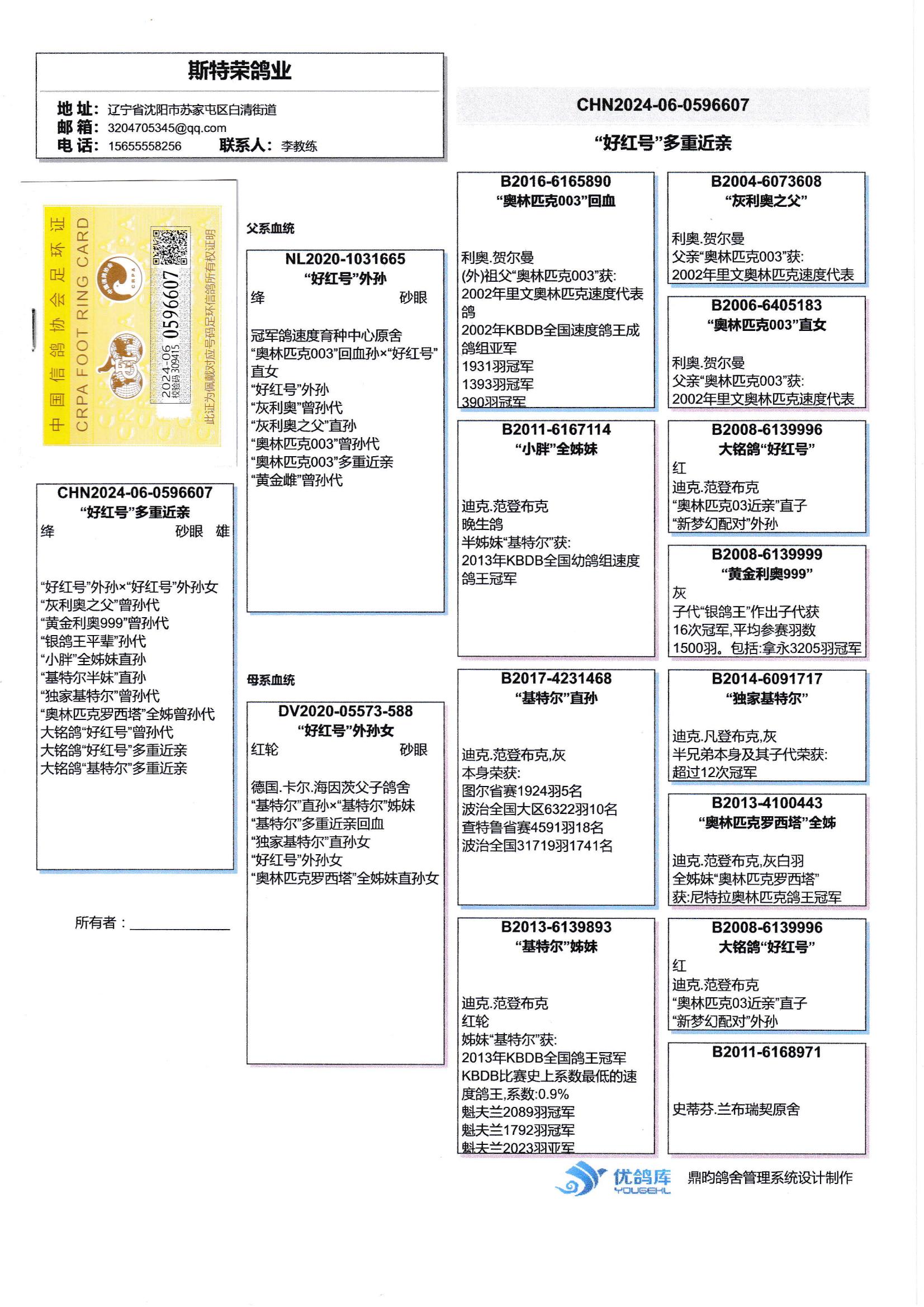 所有种鸽雌雄已实物为准 不保作育 不退不换~!