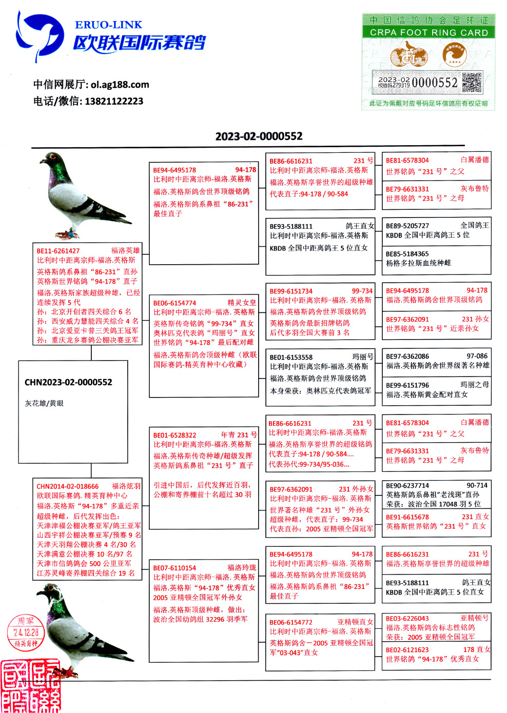 世界铭鸽石板灰图片