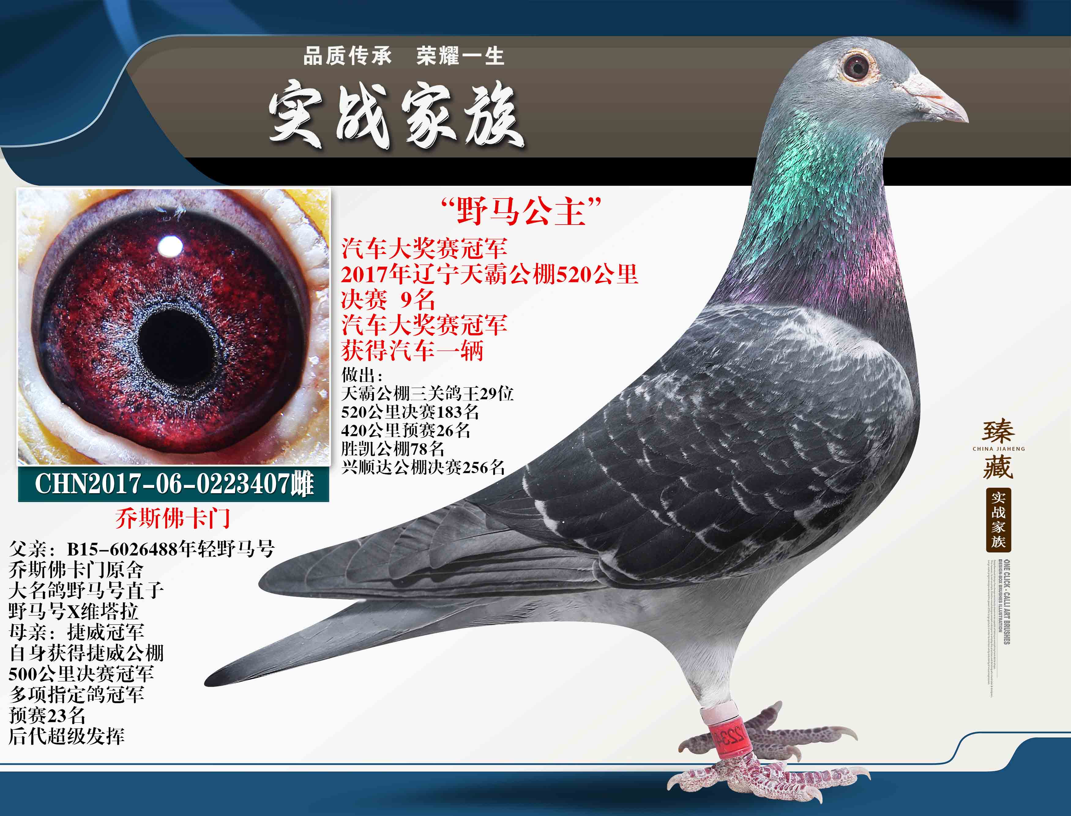 "乔斯佛卡门"汽车赛冠军