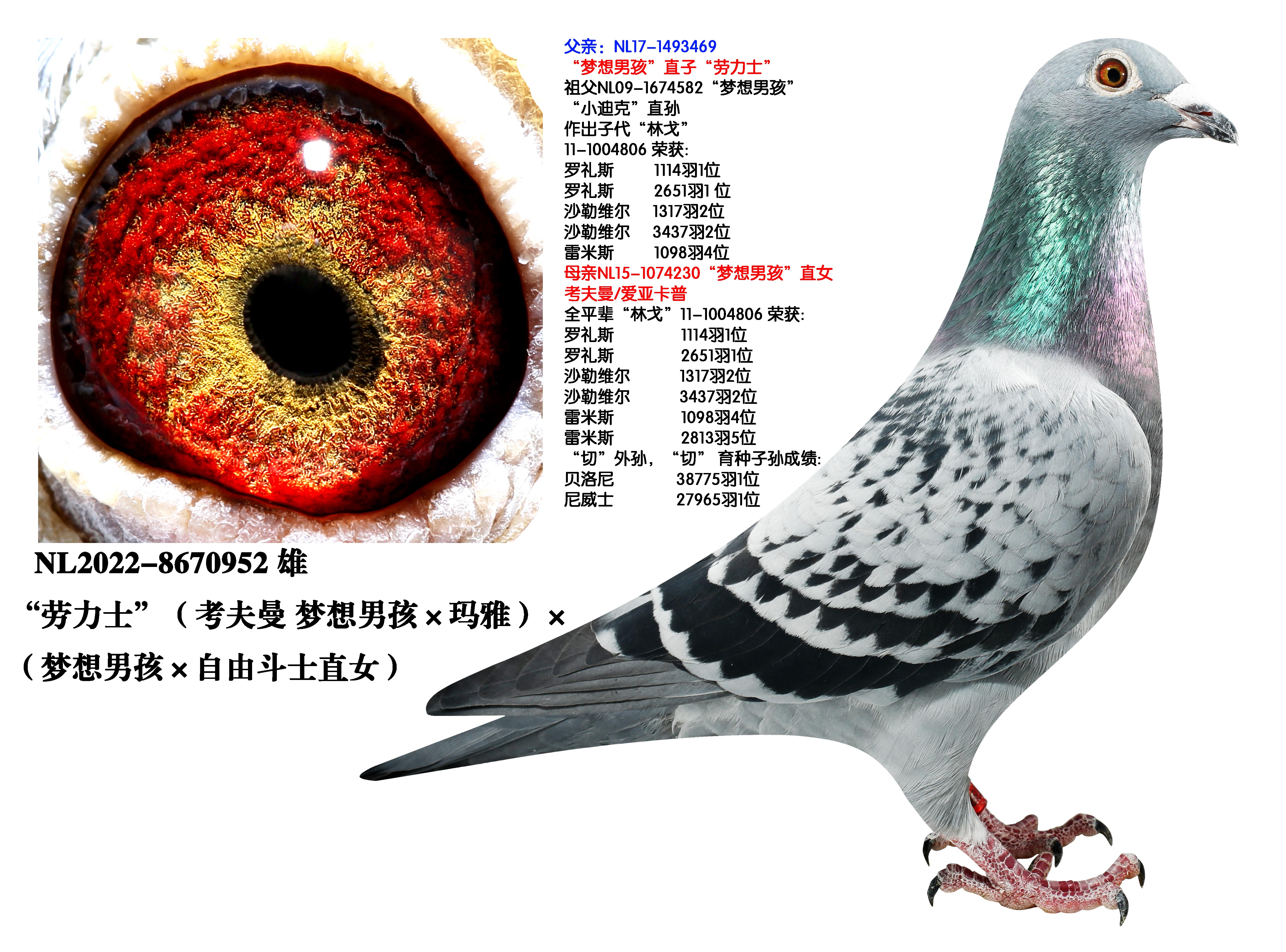 考夫曼梦想男孩近亲直孙女