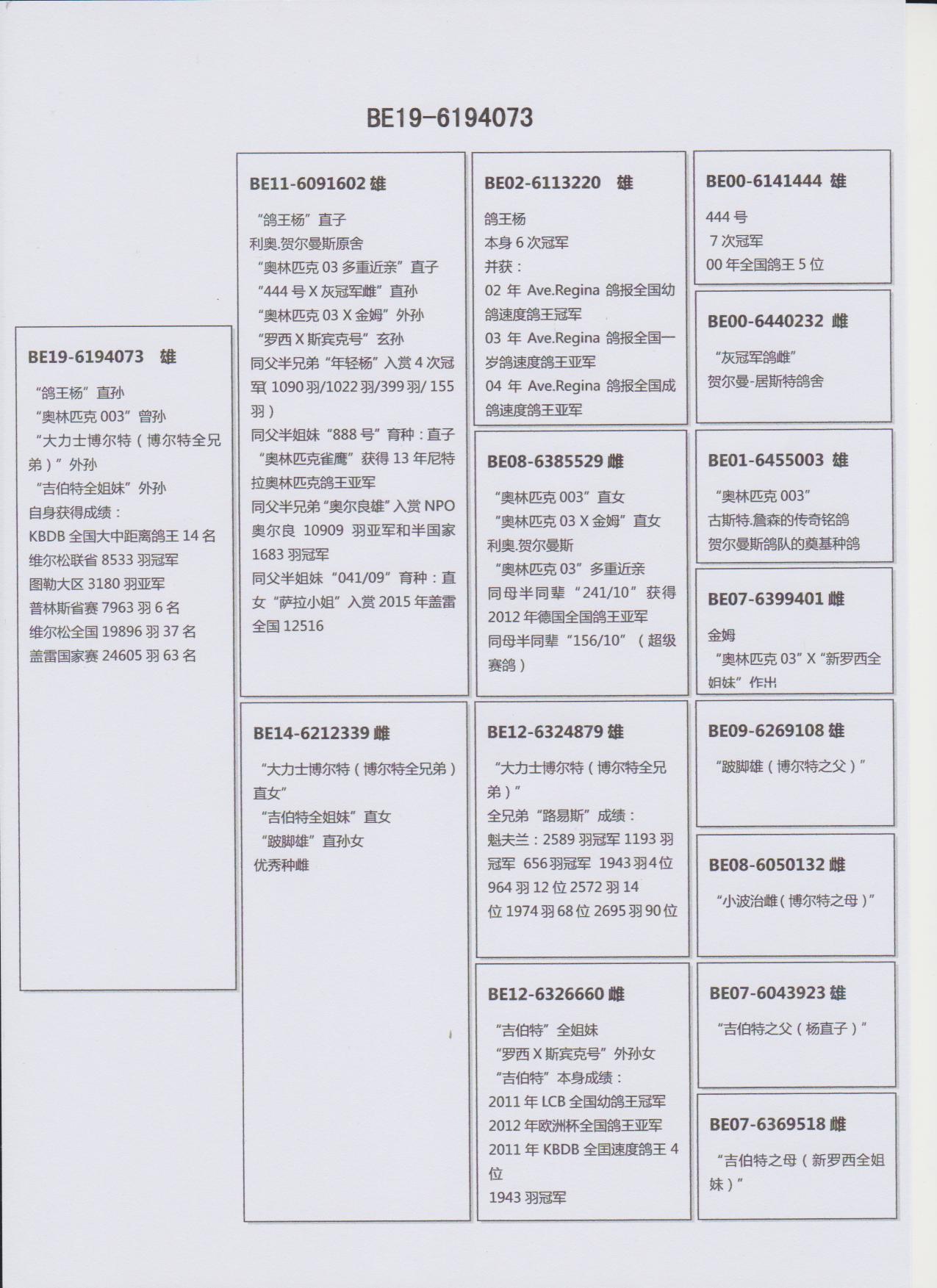 利奥鸽王杨直孙kbdb全国大中距离鸽王14名