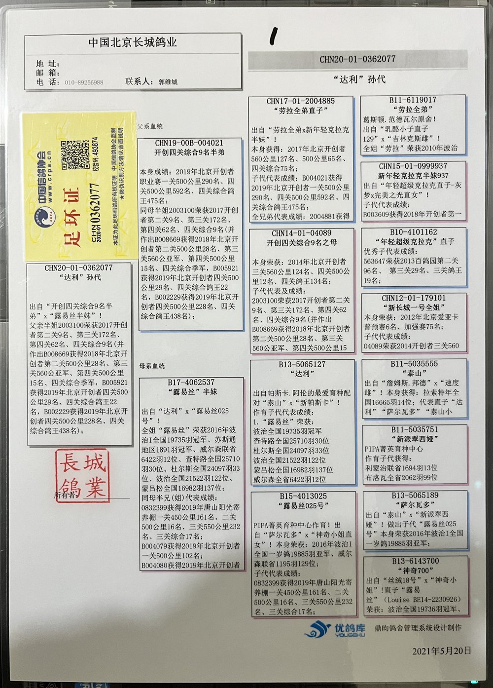 中国信鸽信息网首页图片