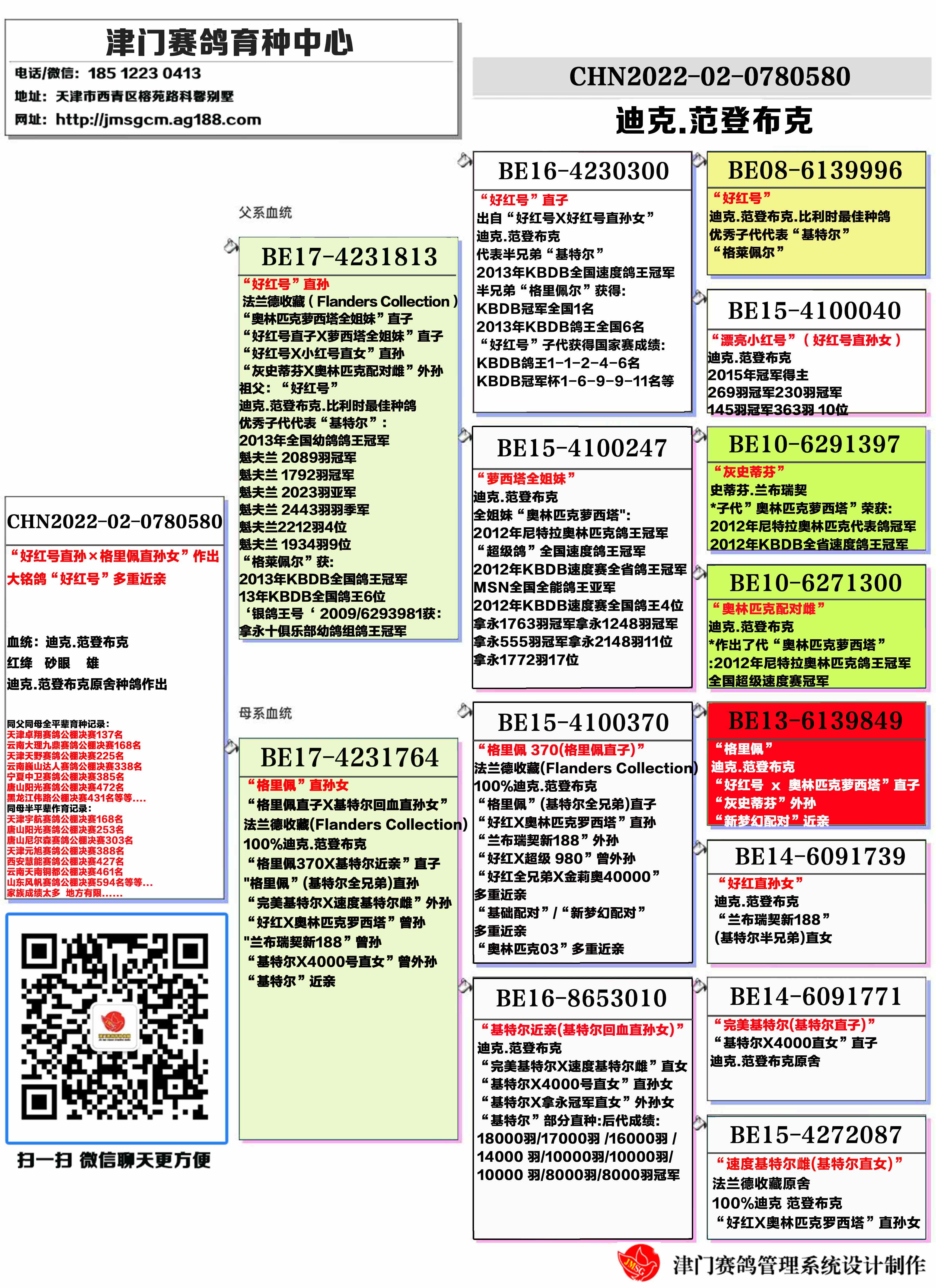 信鸽在线拍卖平台 中国信鸽信息网