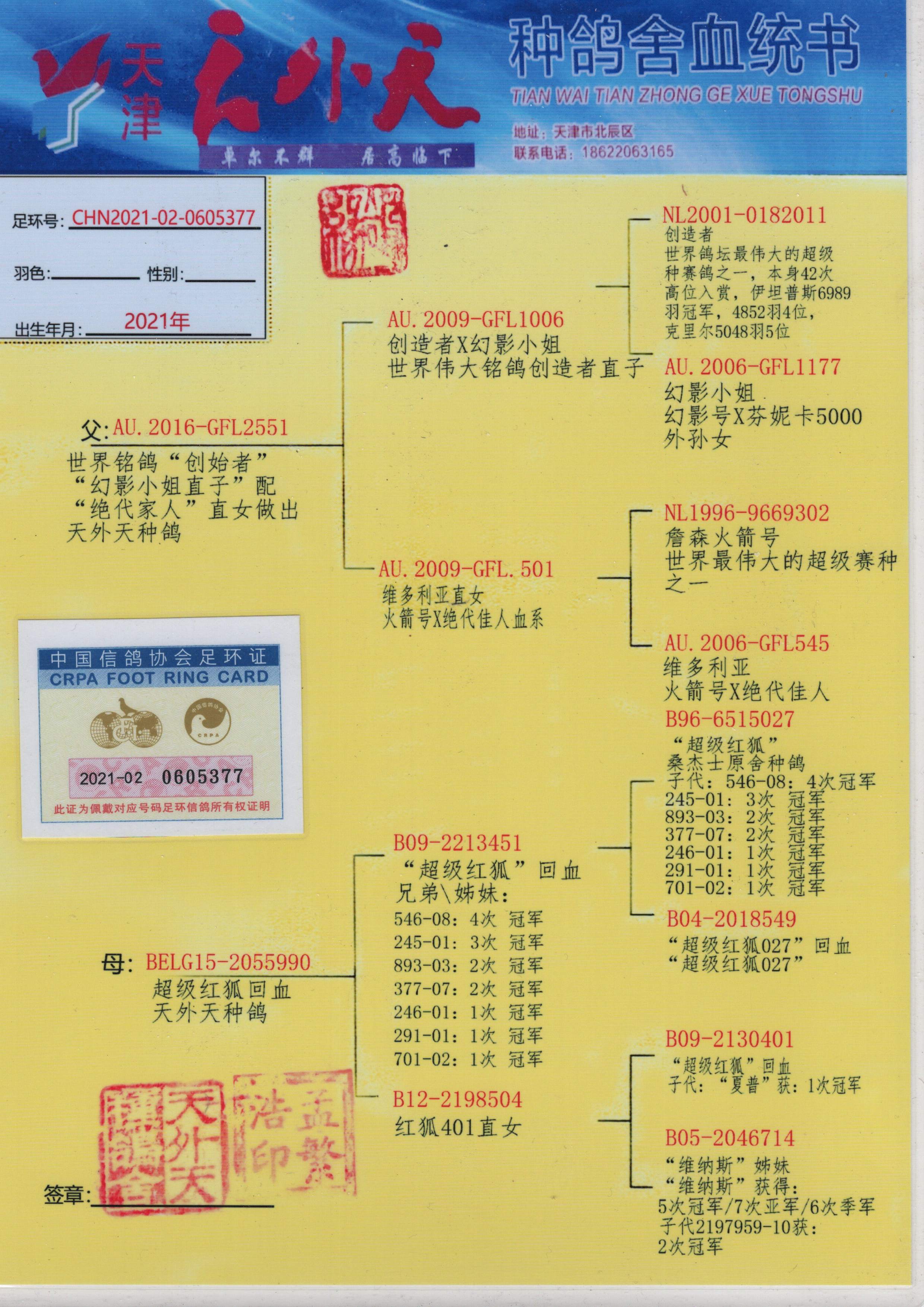 纯血统名录
