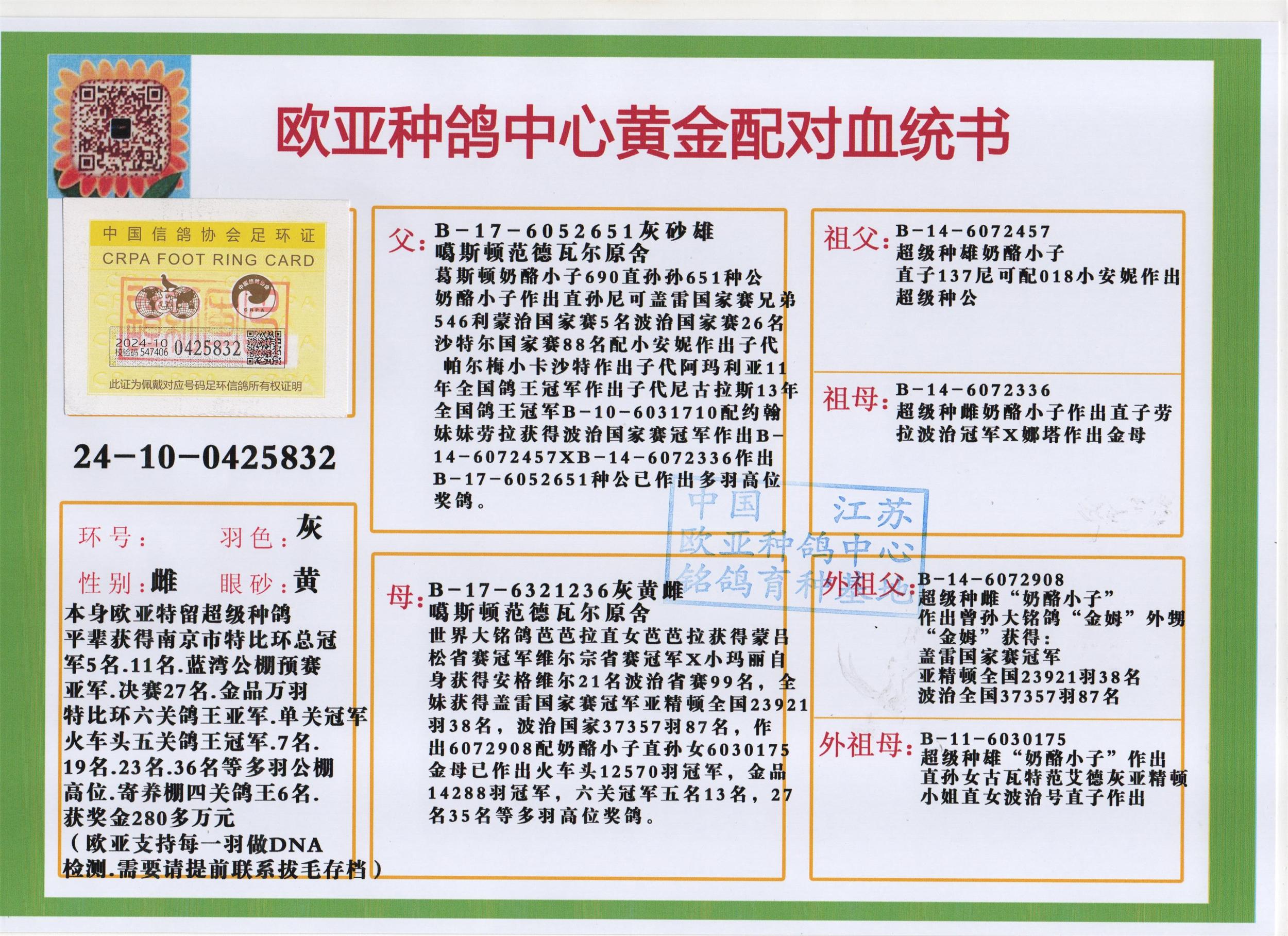 信鸽在线拍卖平台