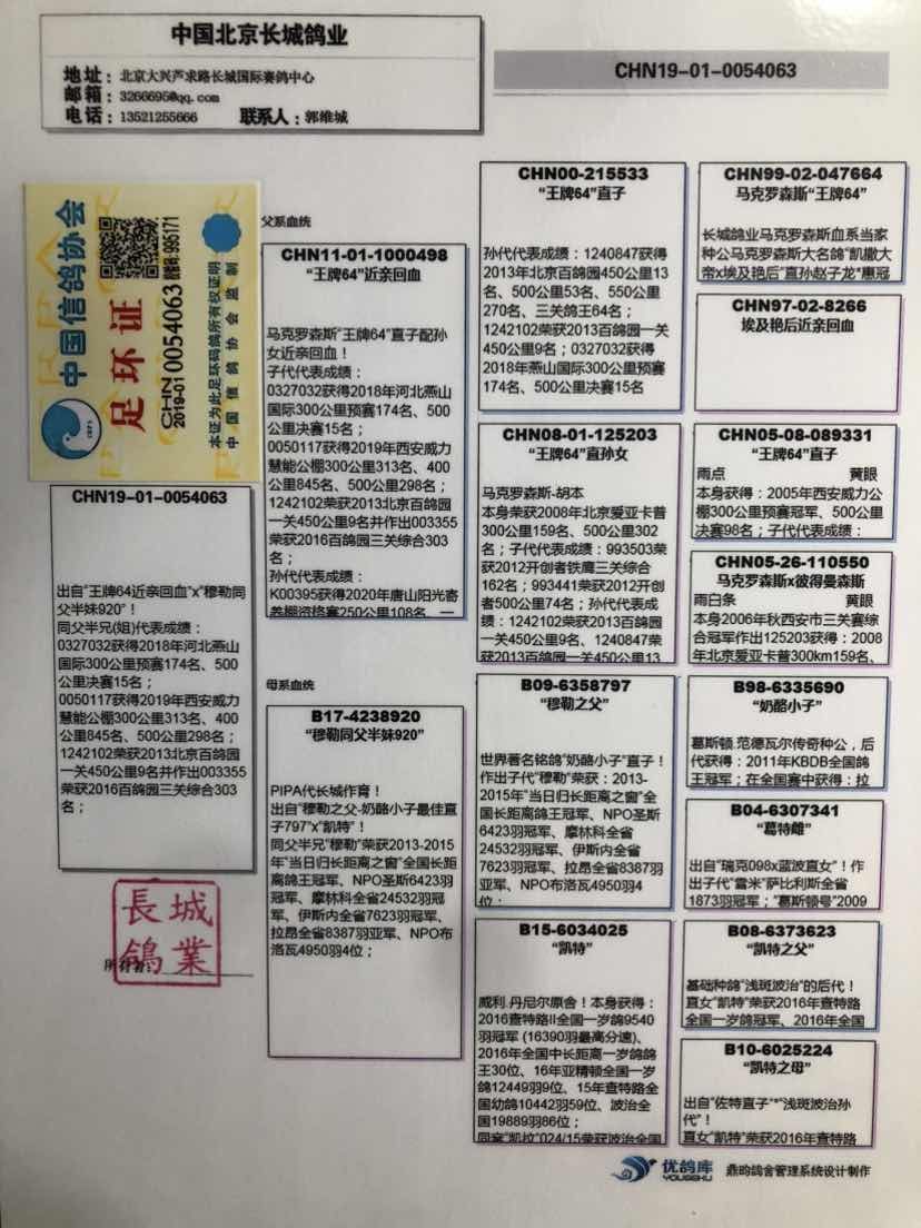 长城鸽业