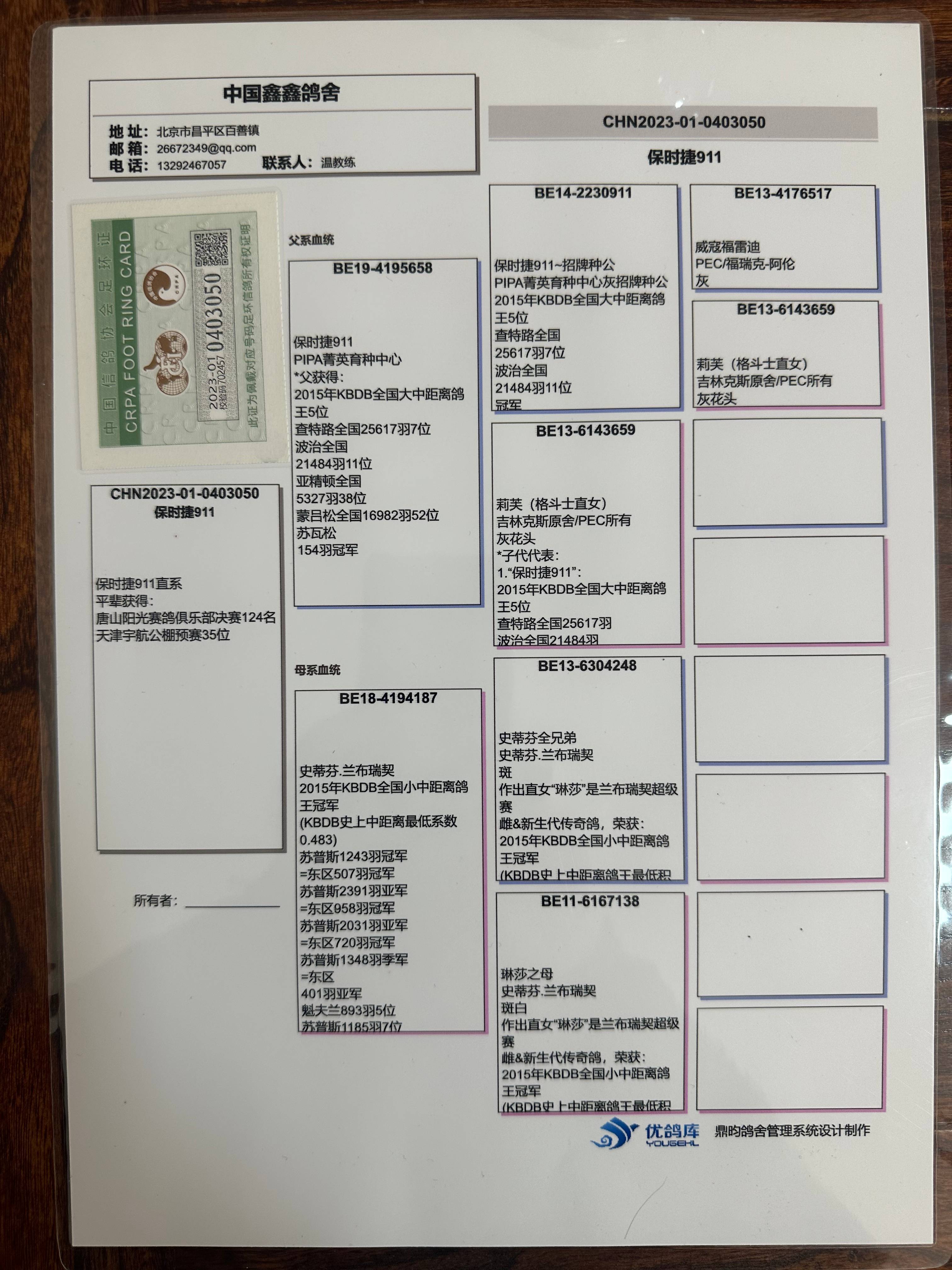 大铭鸽保时捷911血统