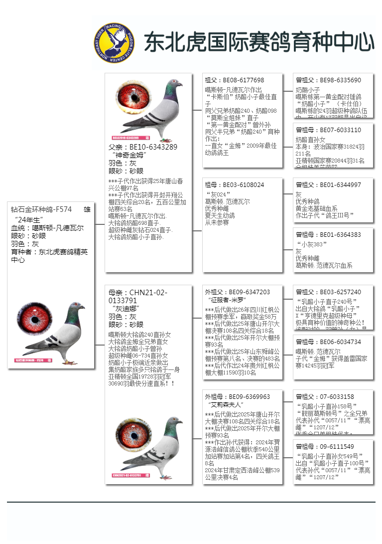 信鸽在线拍卖平台 - 中国信鸽信息网