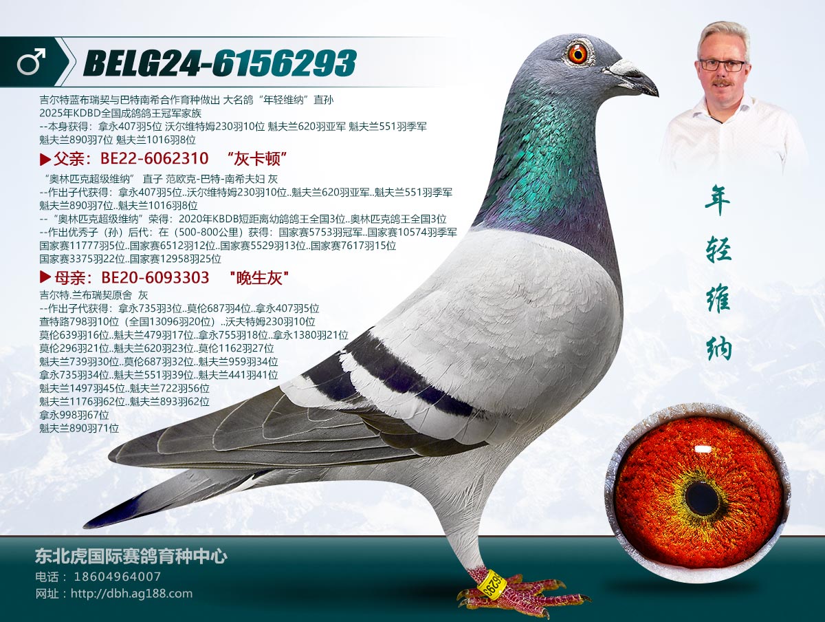 信鸽在线拍卖平台 - 中国信鸽信息网