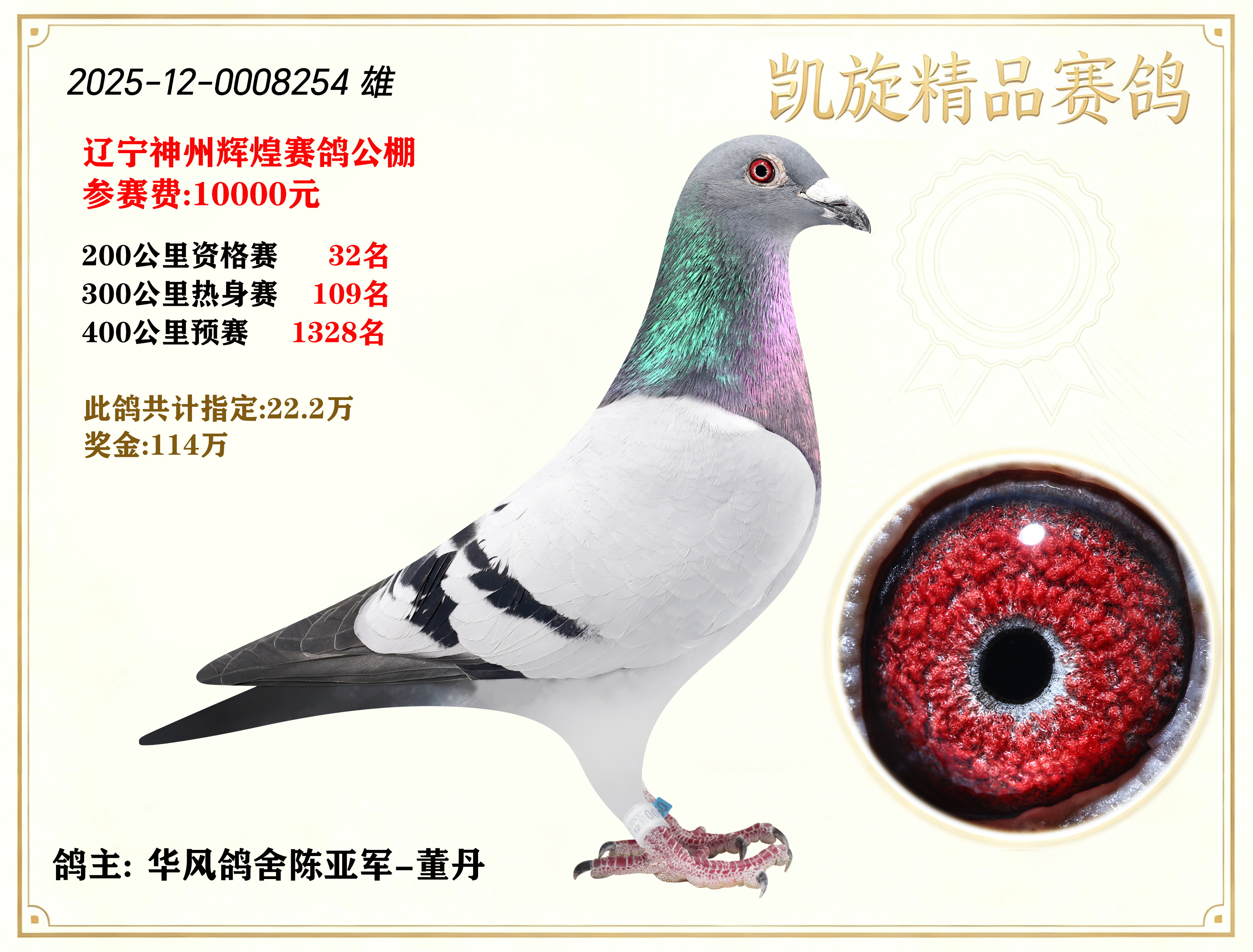 信鸽在线拍卖平台 - 中国信鸽信息网
