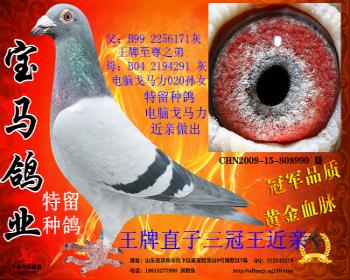 526191 戈马力990 展厅:中华信鸽传媒  ￥  元  ￥ 300元