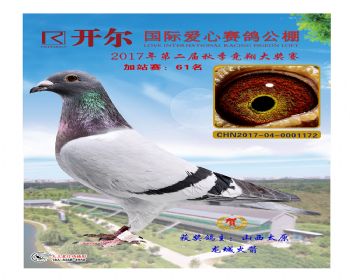 开尔爱心加站赛61名
