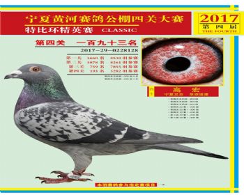 宁夏黄河加关赛193名