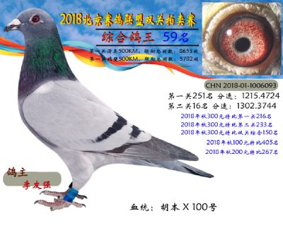 2018年北京赛鸽联盟双关拍卖赛—第五十九名