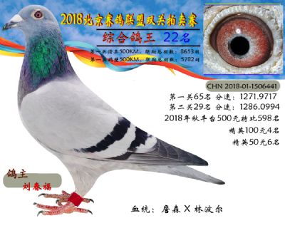 2018年北京赛鸽联盟双关拍卖赛—二十二名