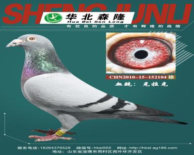 >> 查看拍卖商品