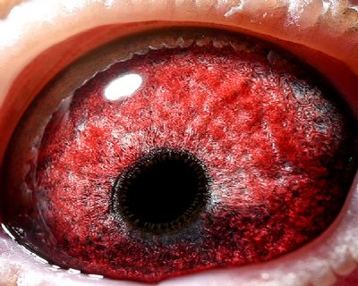 >> 查看拍卖商品